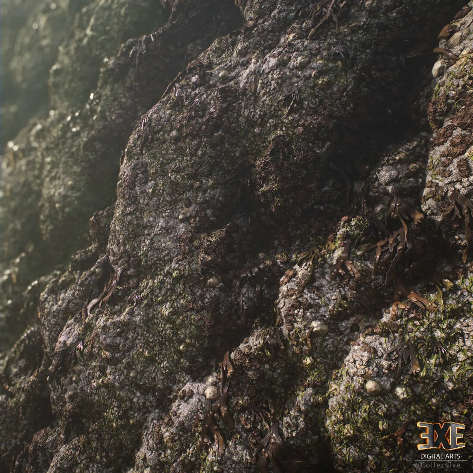 Seaweed On Rock Tileable PBR Material