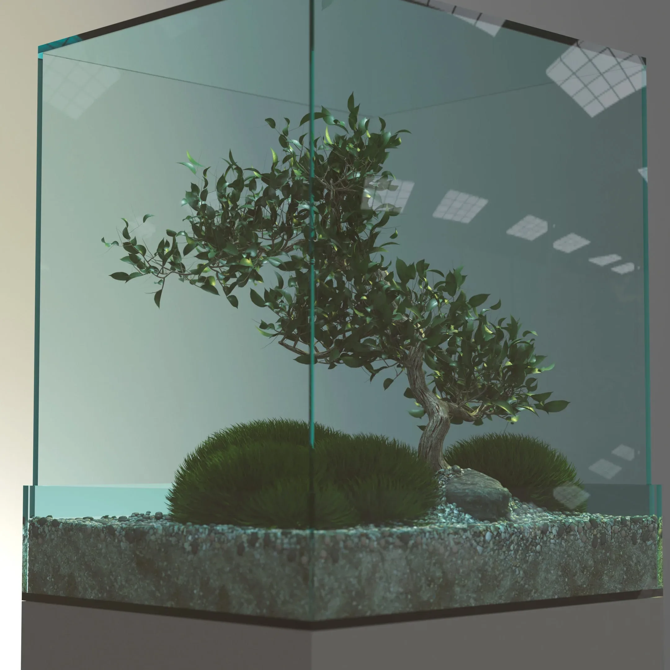 Bonsai Tree - 3D Model