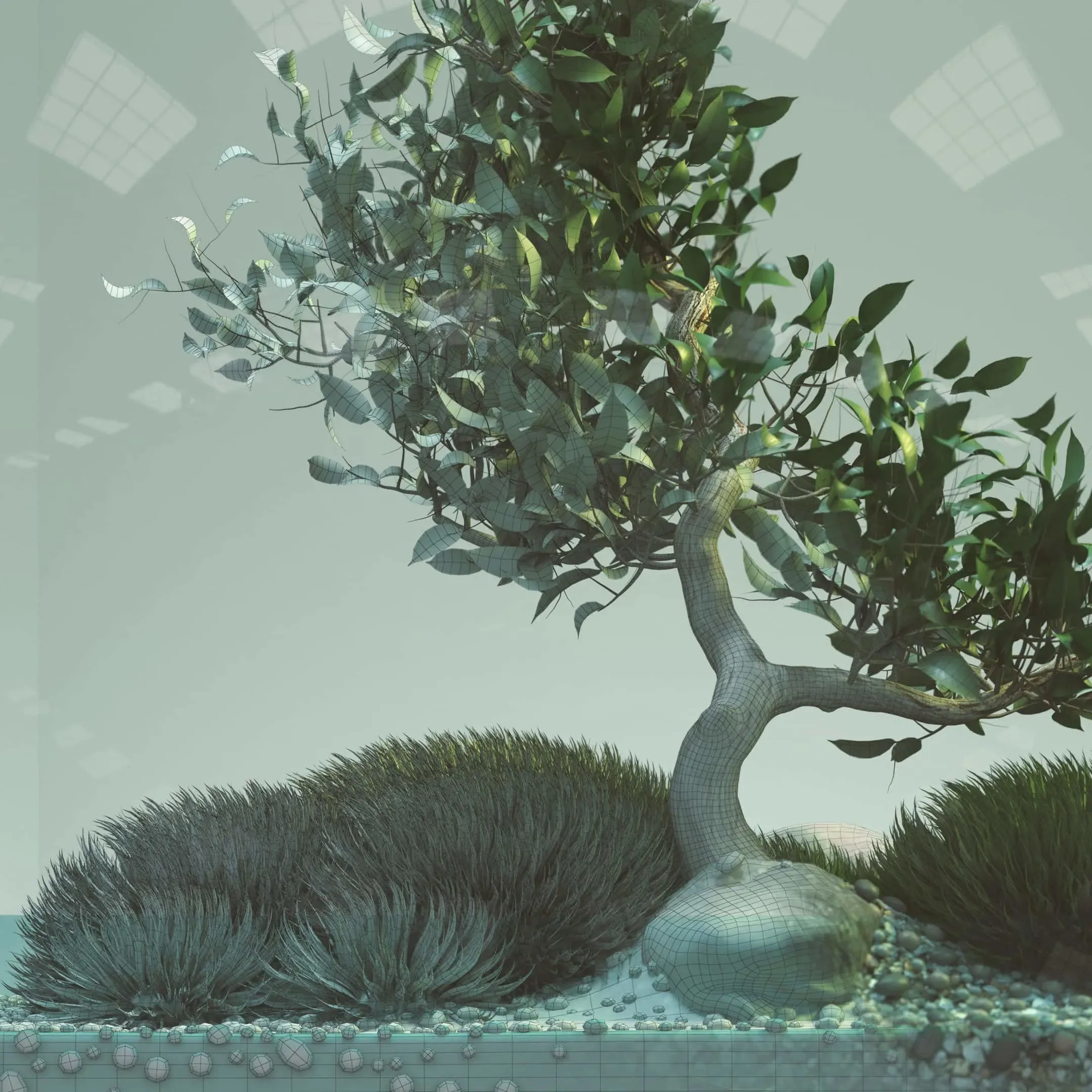 Bonsai Tree - 3D Model