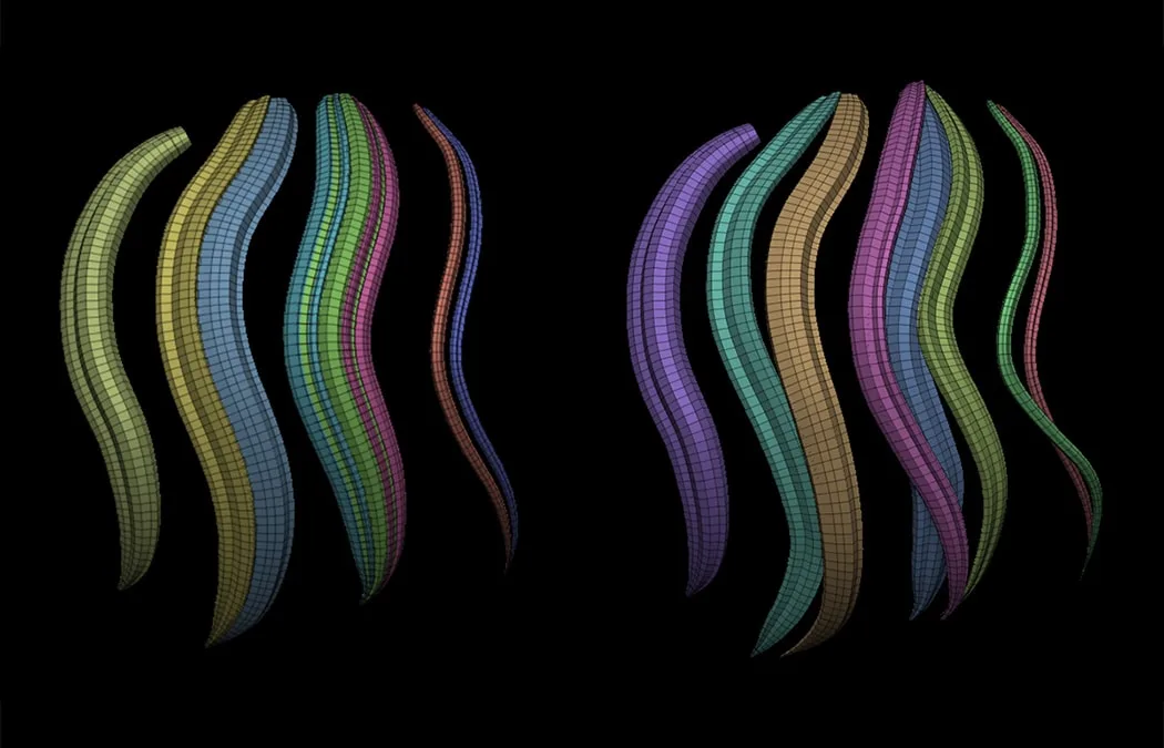 Zbrush Hair Strands 2 / IMM Curve Brush