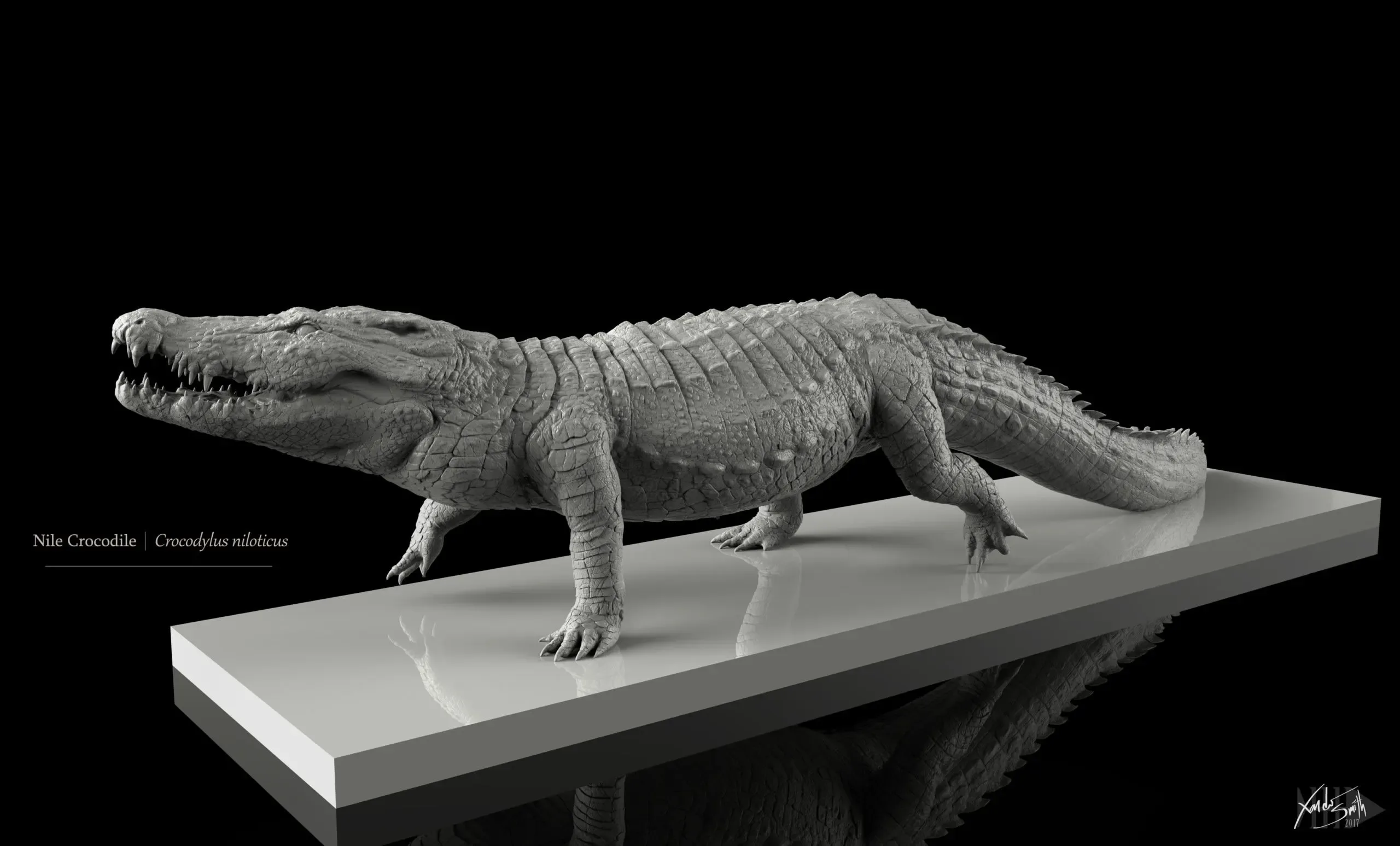 Nile Crocodile 3D Model Decimated - Walking Pose