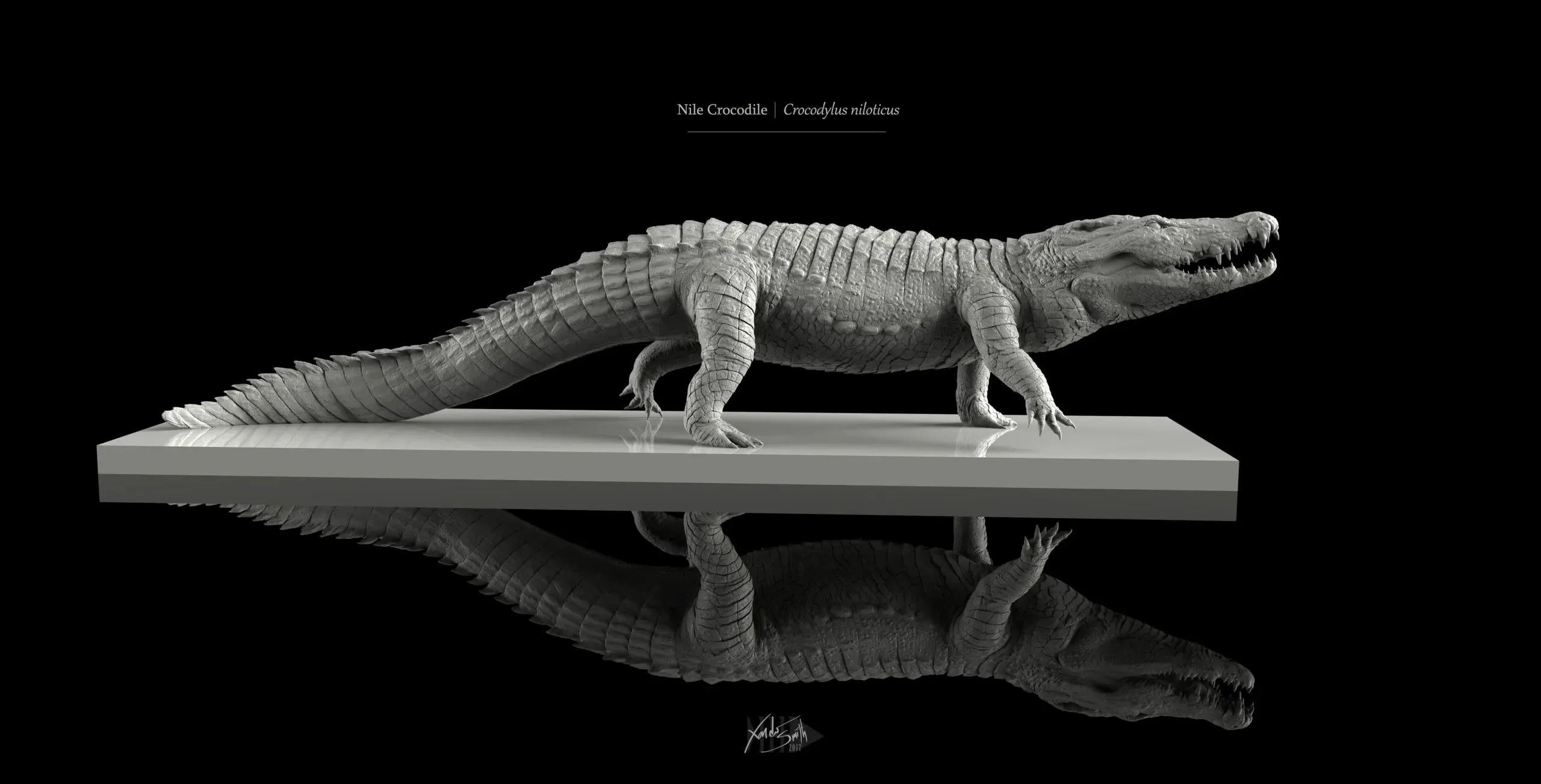 Nile Crocodile 3D Model Decimated - Walking Pose