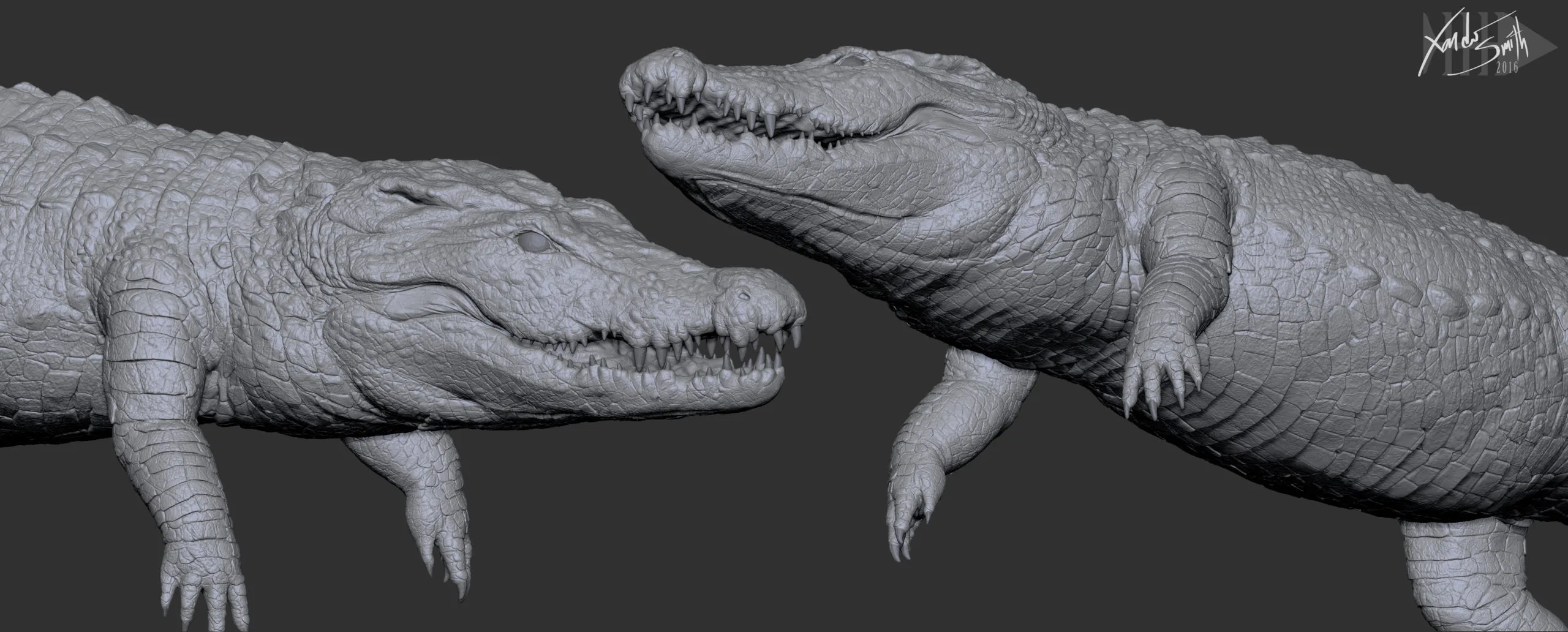 Nile Crocodile 3D Model - T-Pose, LowPoly, SubD & HighPoly Decimated