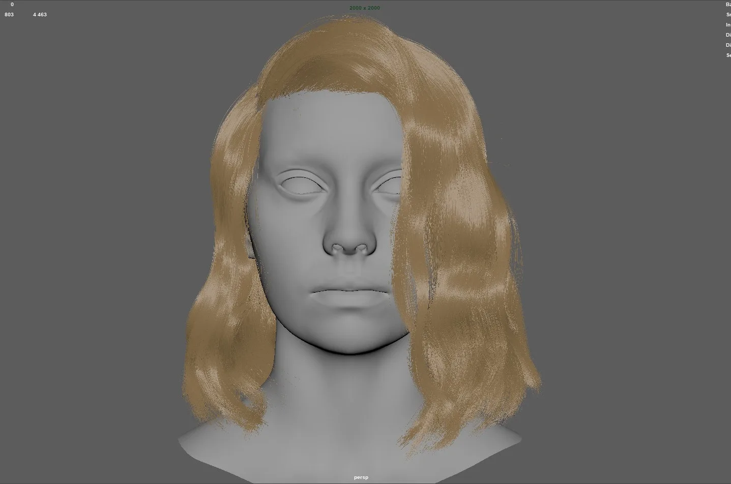 Fibermesh Hair to Xgen Workflow Tutorial - NO AUDIO