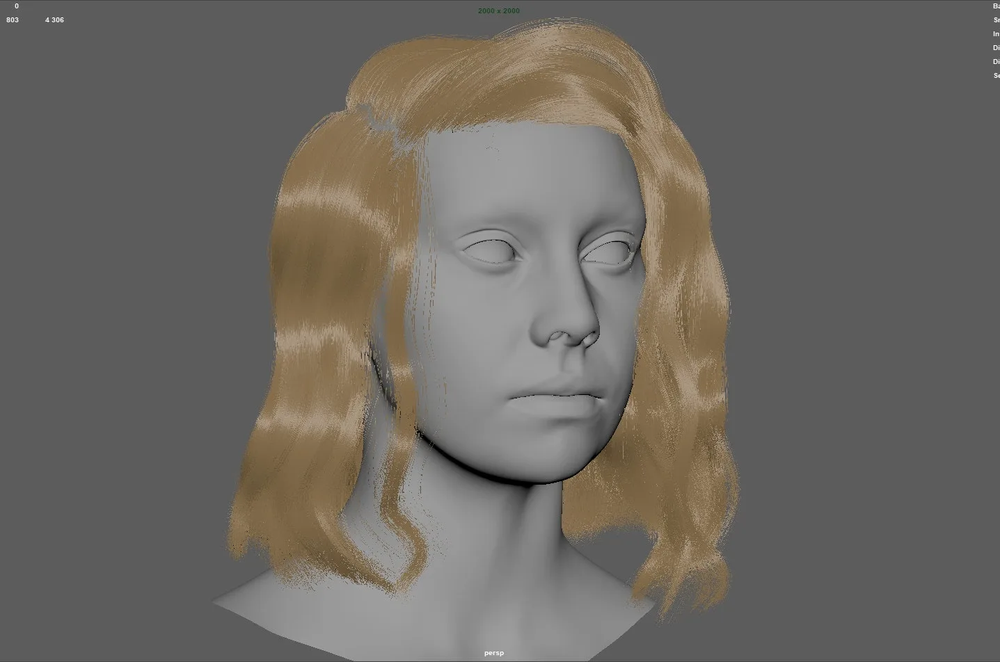 Fibermesh Hair to Xgen Workflow Tutorial - NO AUDIO