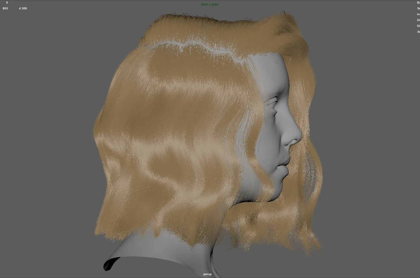 Fibermesh Hair to Xgen Workflow Tutorial - NO AUDIO