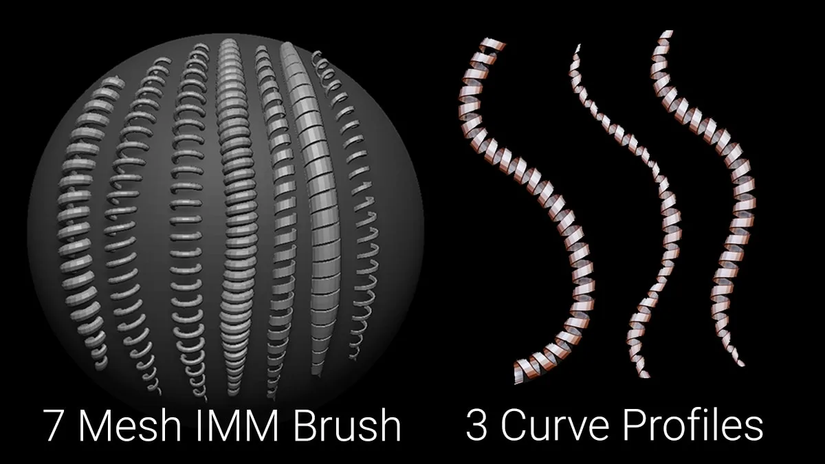 Curly Hair Strands - IMM Curve Brush