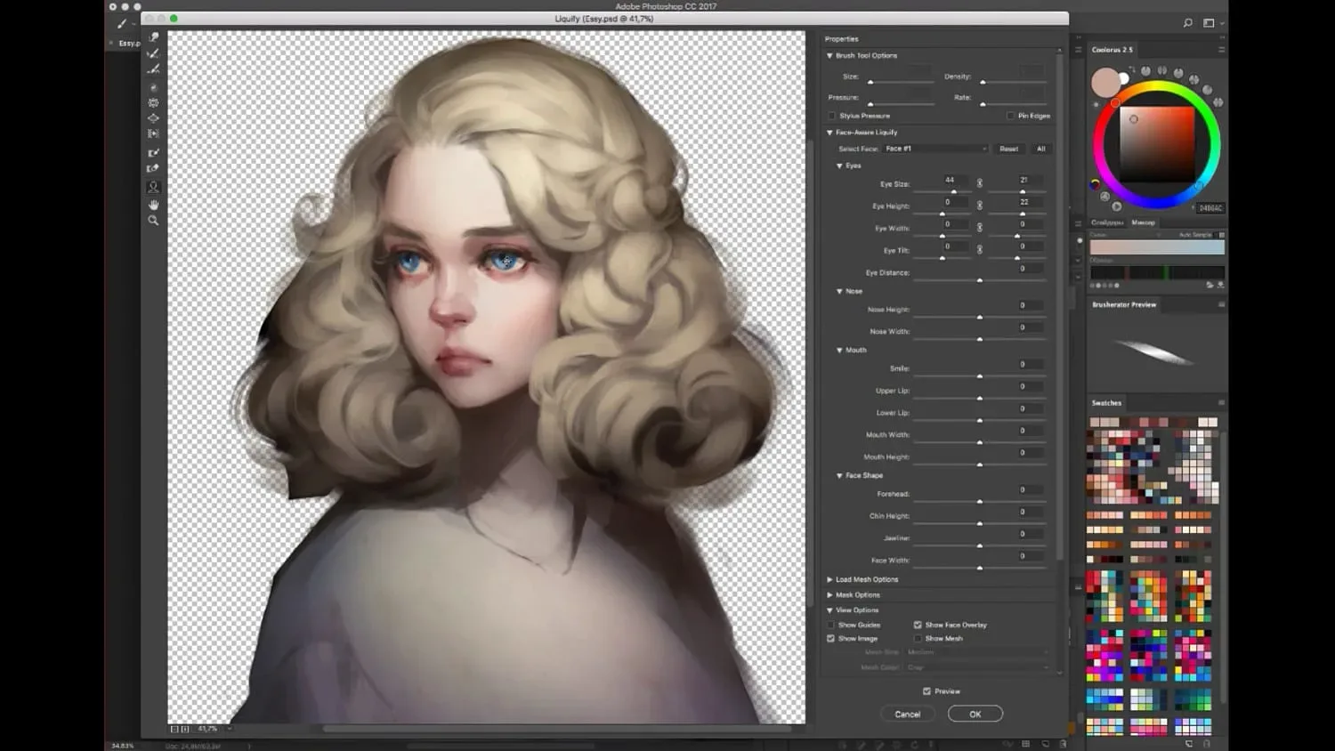 Hair Brush Pack + Time Lapse Video