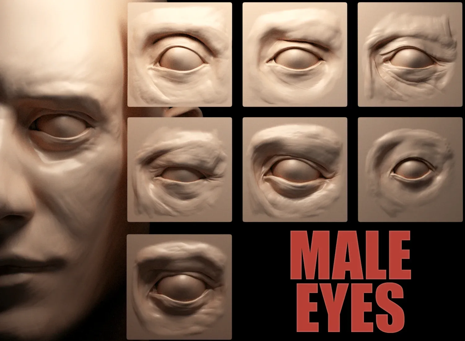 Human Eyes - 20 VDM Brushes