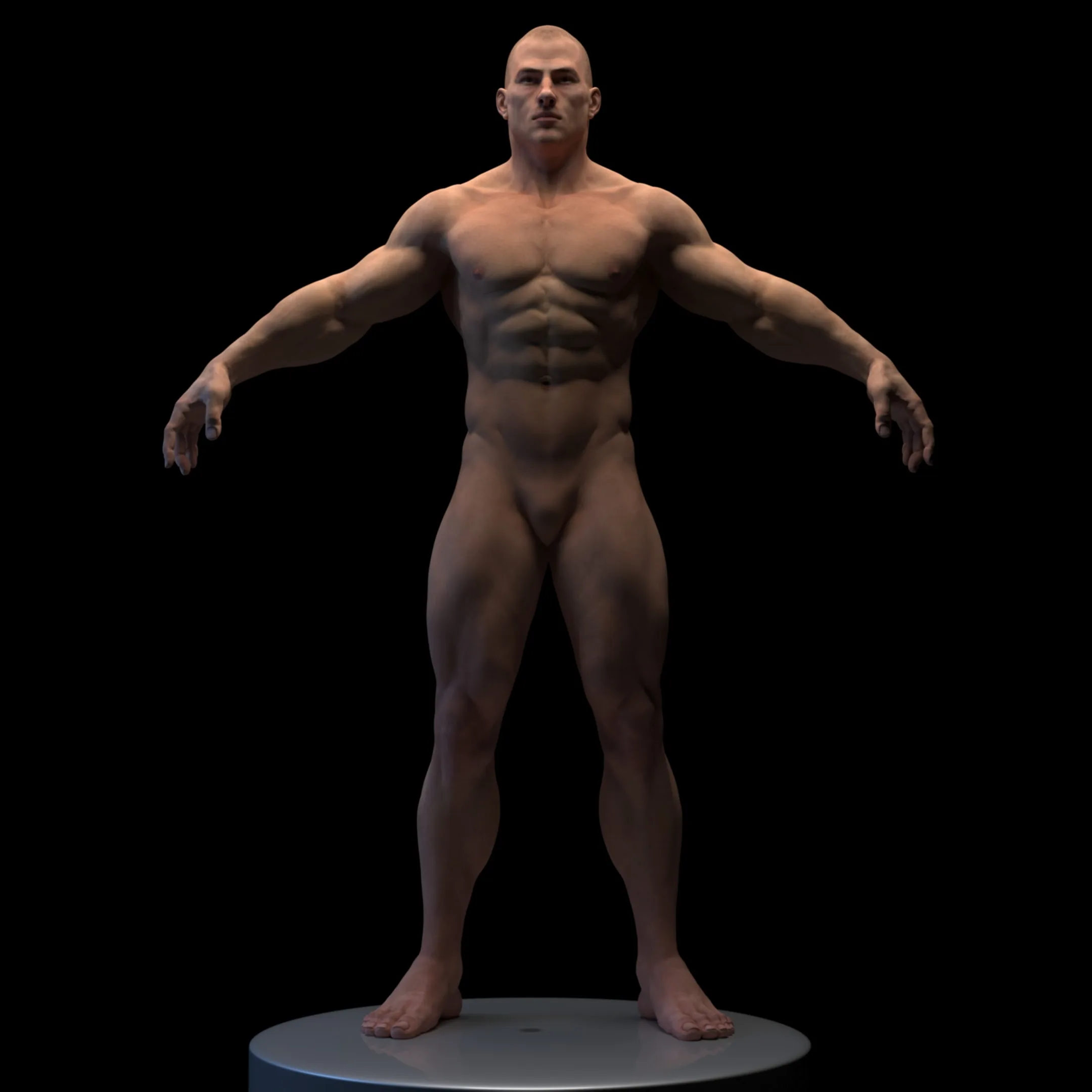 Muscular Man High Detail (High/Low Poly)