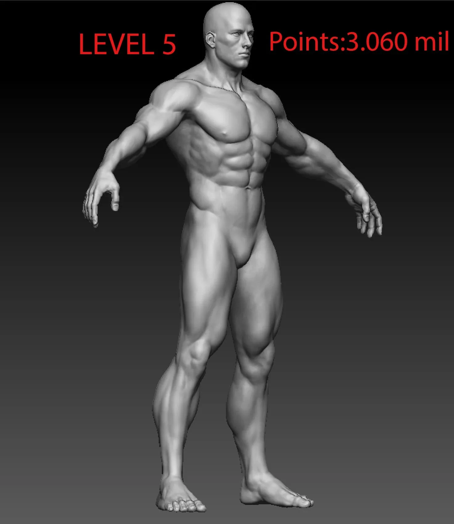 Muscular Man High Detail (High/Low Poly)