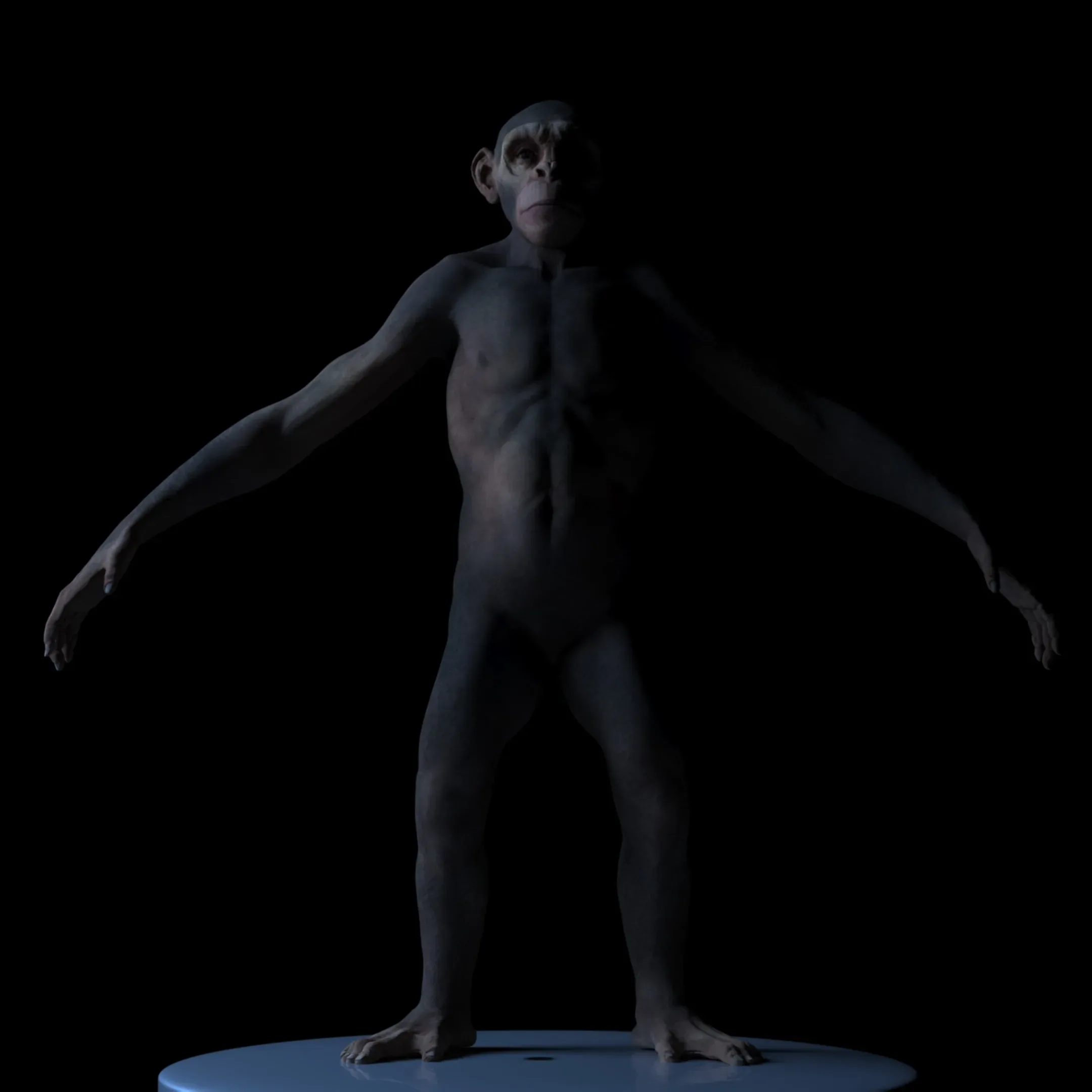 Ape High Detail (High/Low Poly)