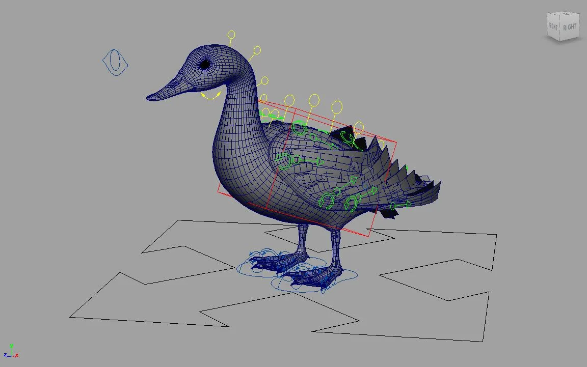 Mallard Bird Rig