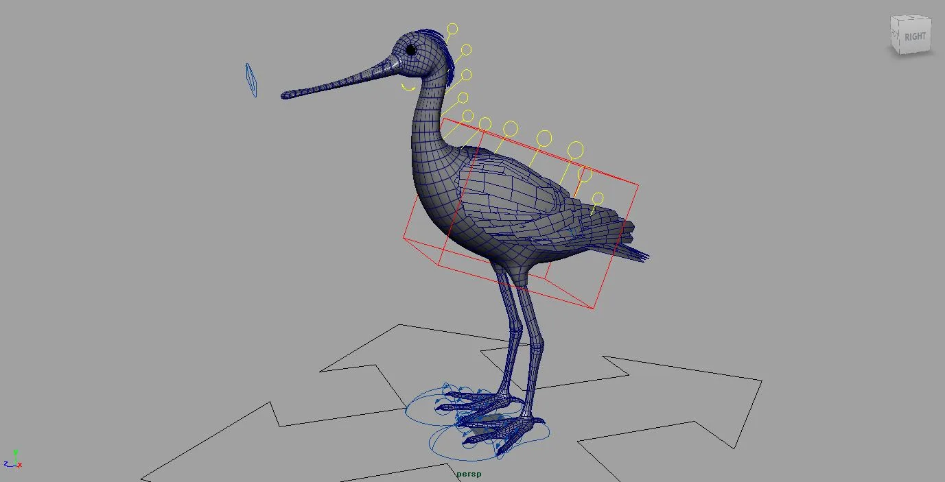 Spoonbill Bird Rig