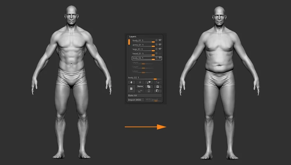 Male Body Basemesh - Fit to Fat in Layers