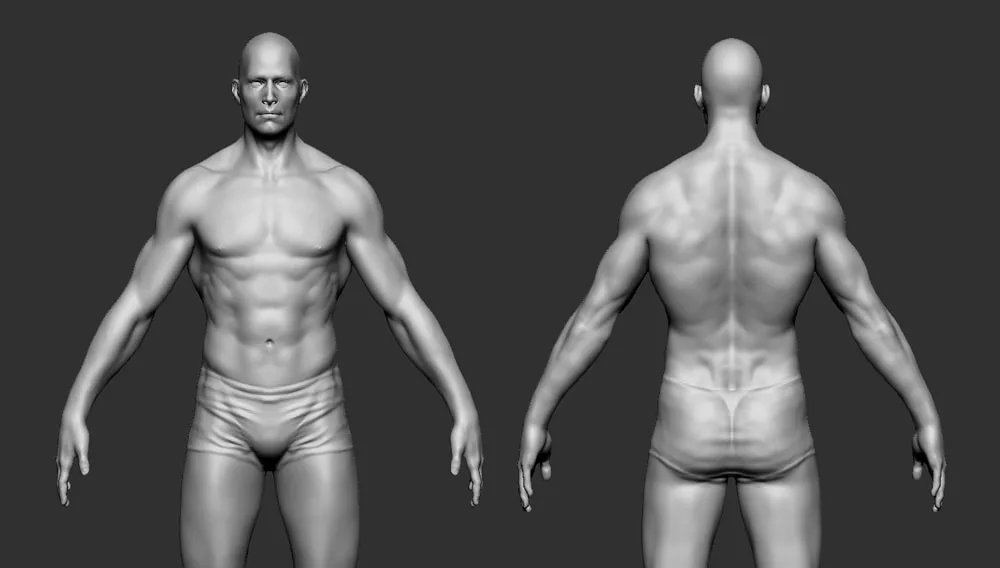 Male Body Basemesh - Fit to Fat in Layers