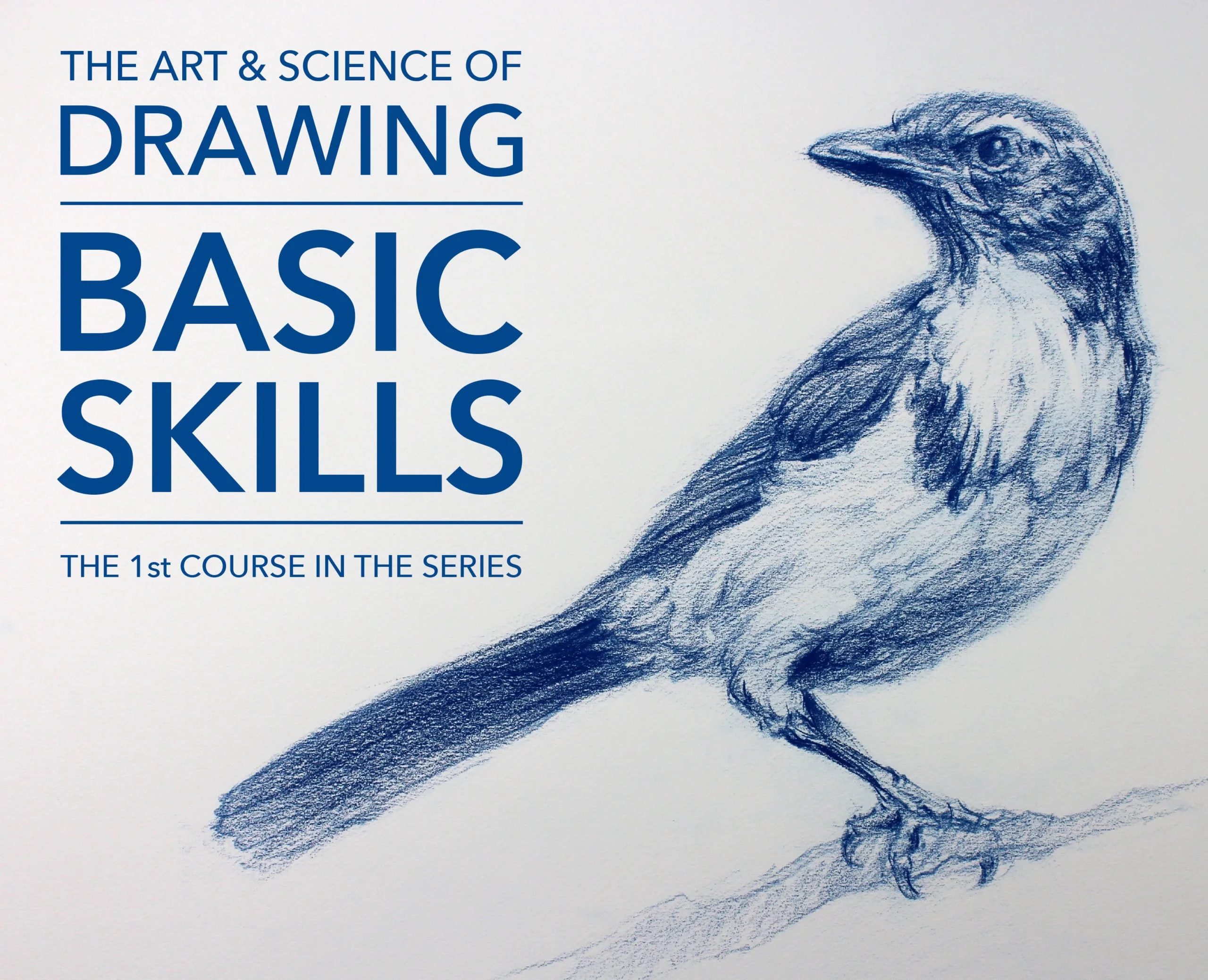 Basic Skills / The Art & Science of Drawing Series