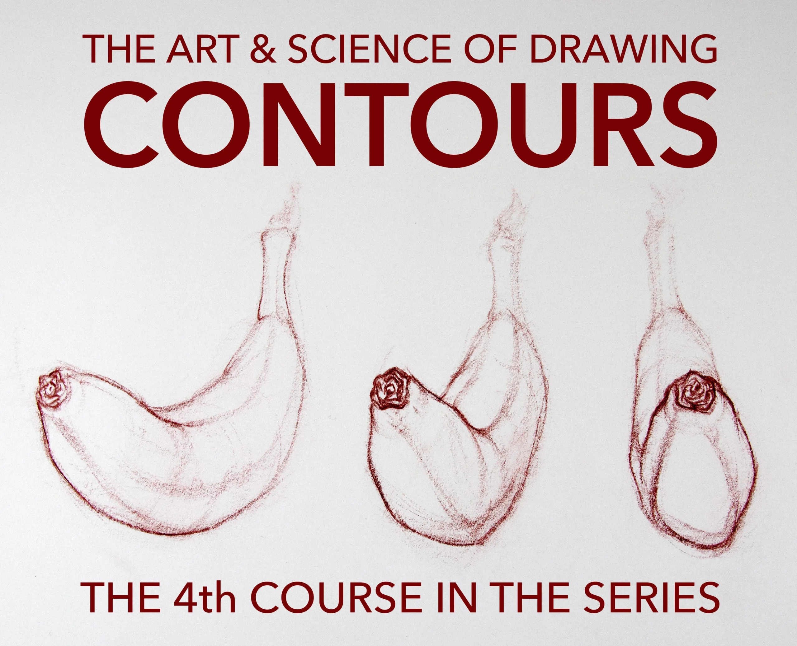 Contours \ The Art & Science of Drawing Series