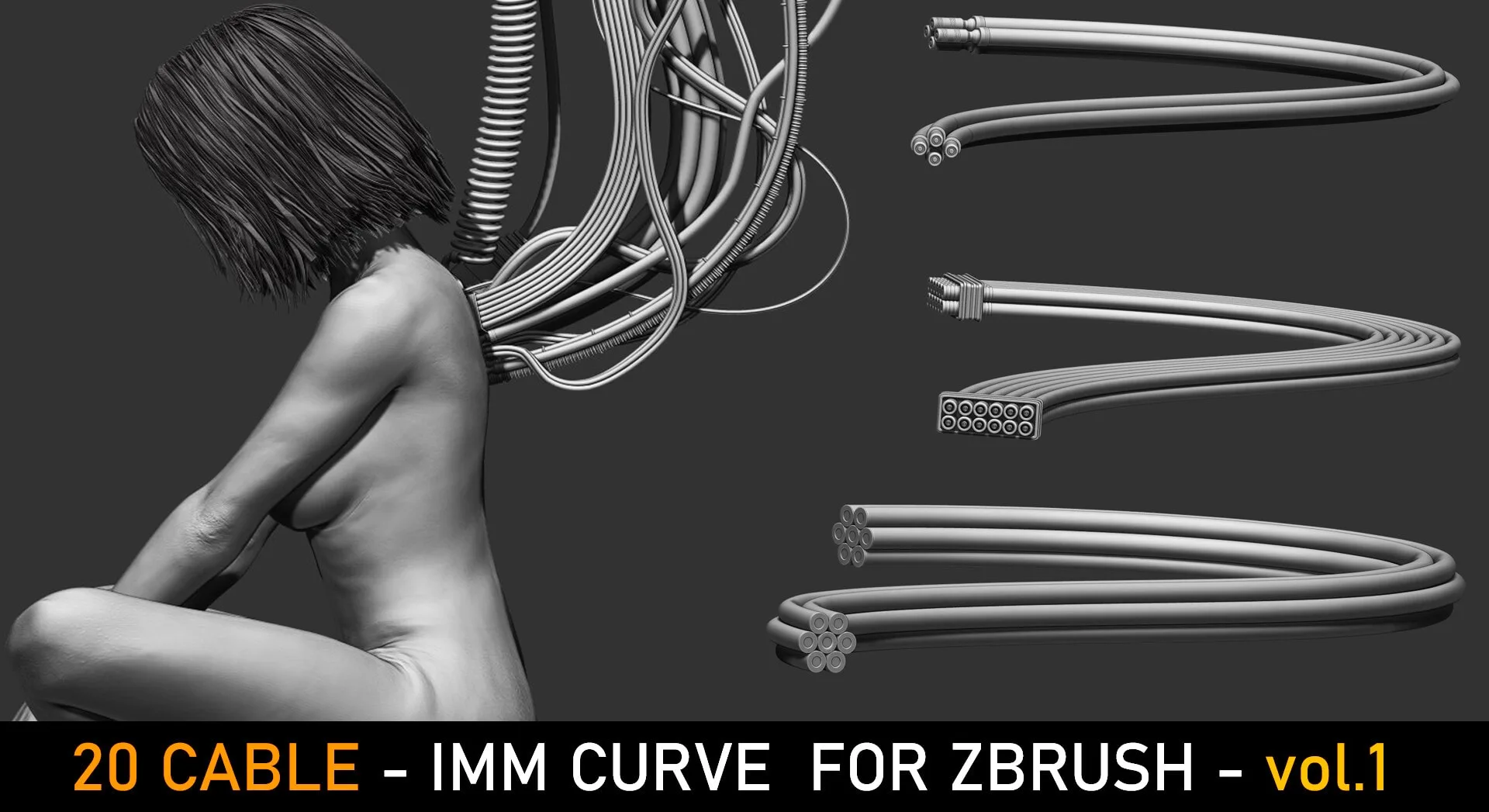 20 IMM Cable for Zbrush