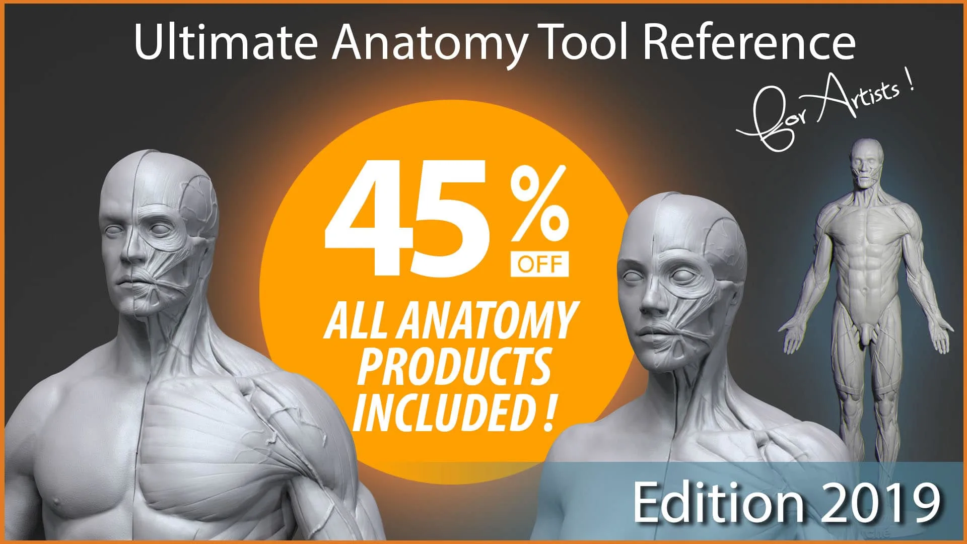 Ultimate Anatomy Reference Tool for Artists