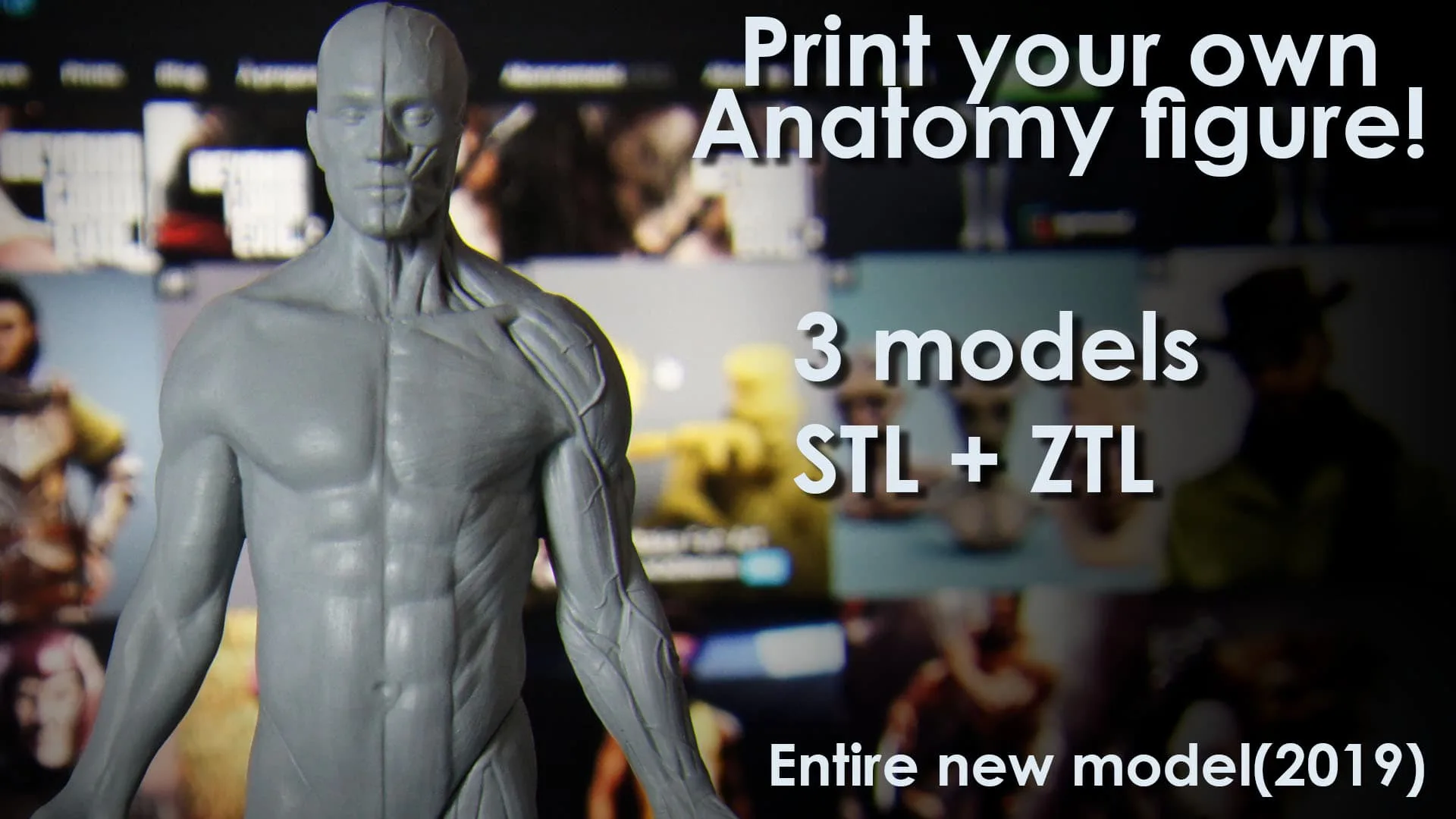 Anatomy Figure for Artists