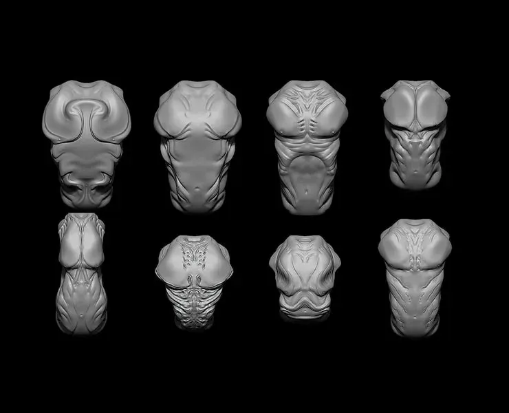 40 Creature Bust - Zbrush IMM Pack