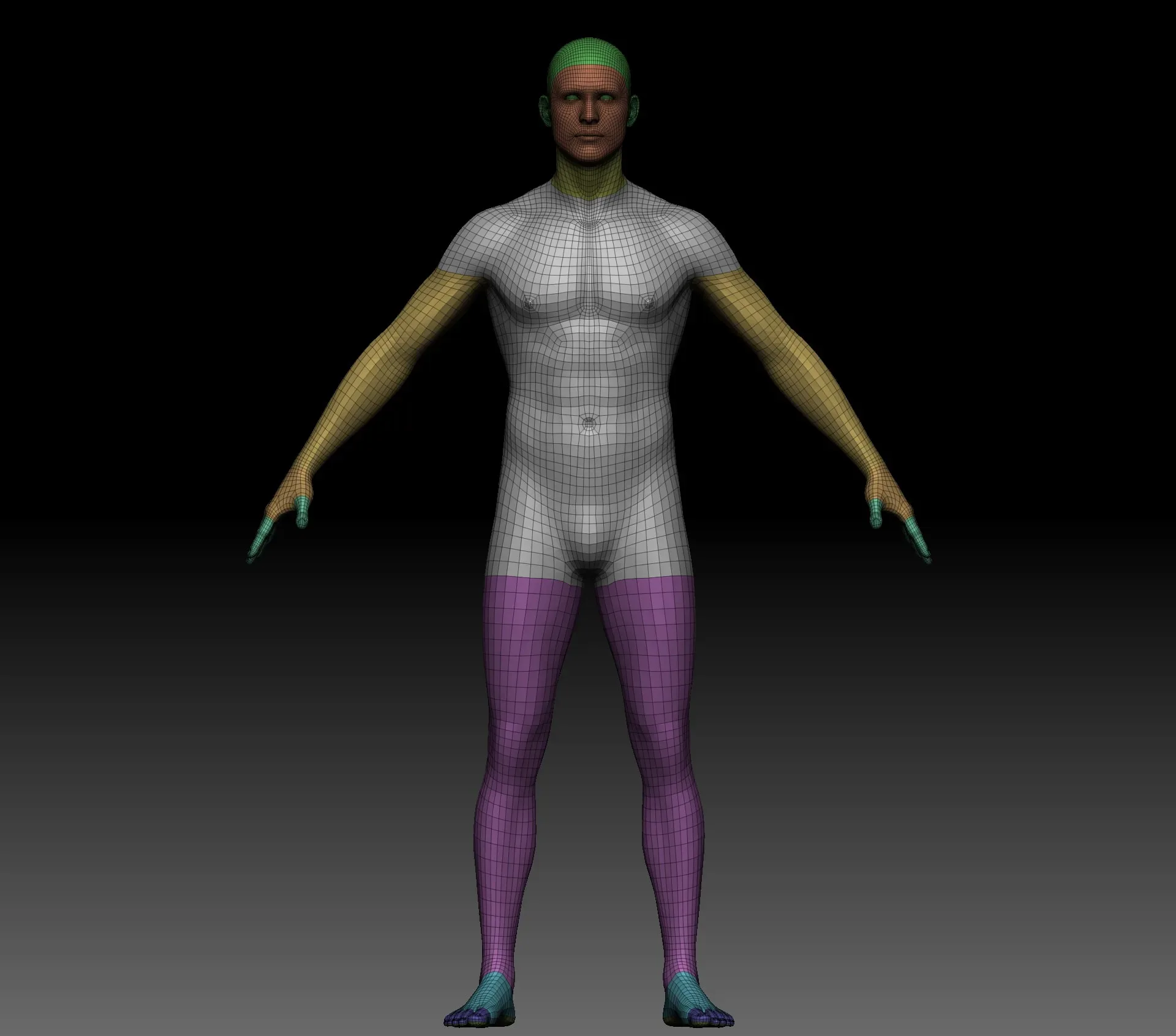 Body Parts Basemeshes Only for Zbrush