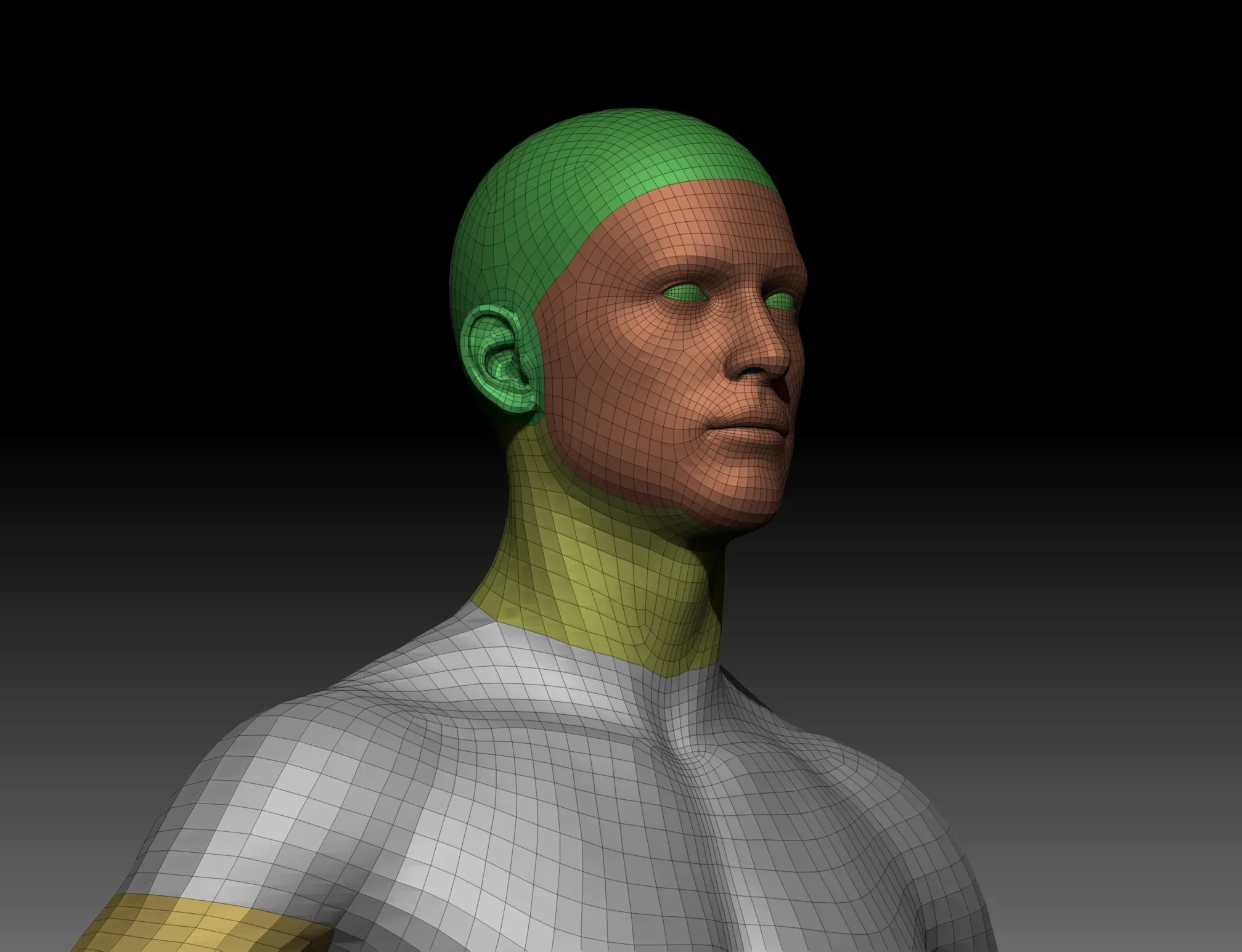 Body Parts Basemeshes Only for Zbrush