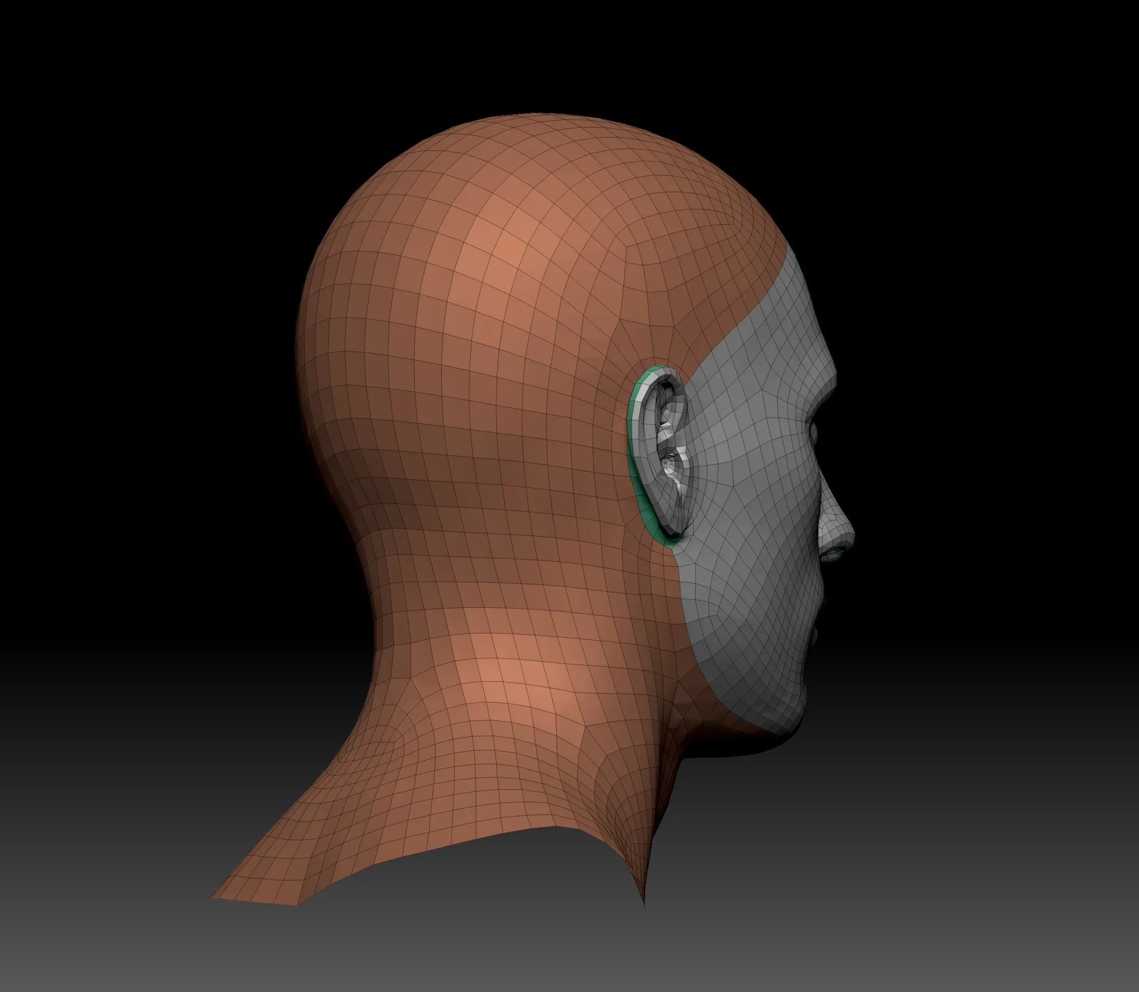 Body Parts Basemeshes Only for Zbrush