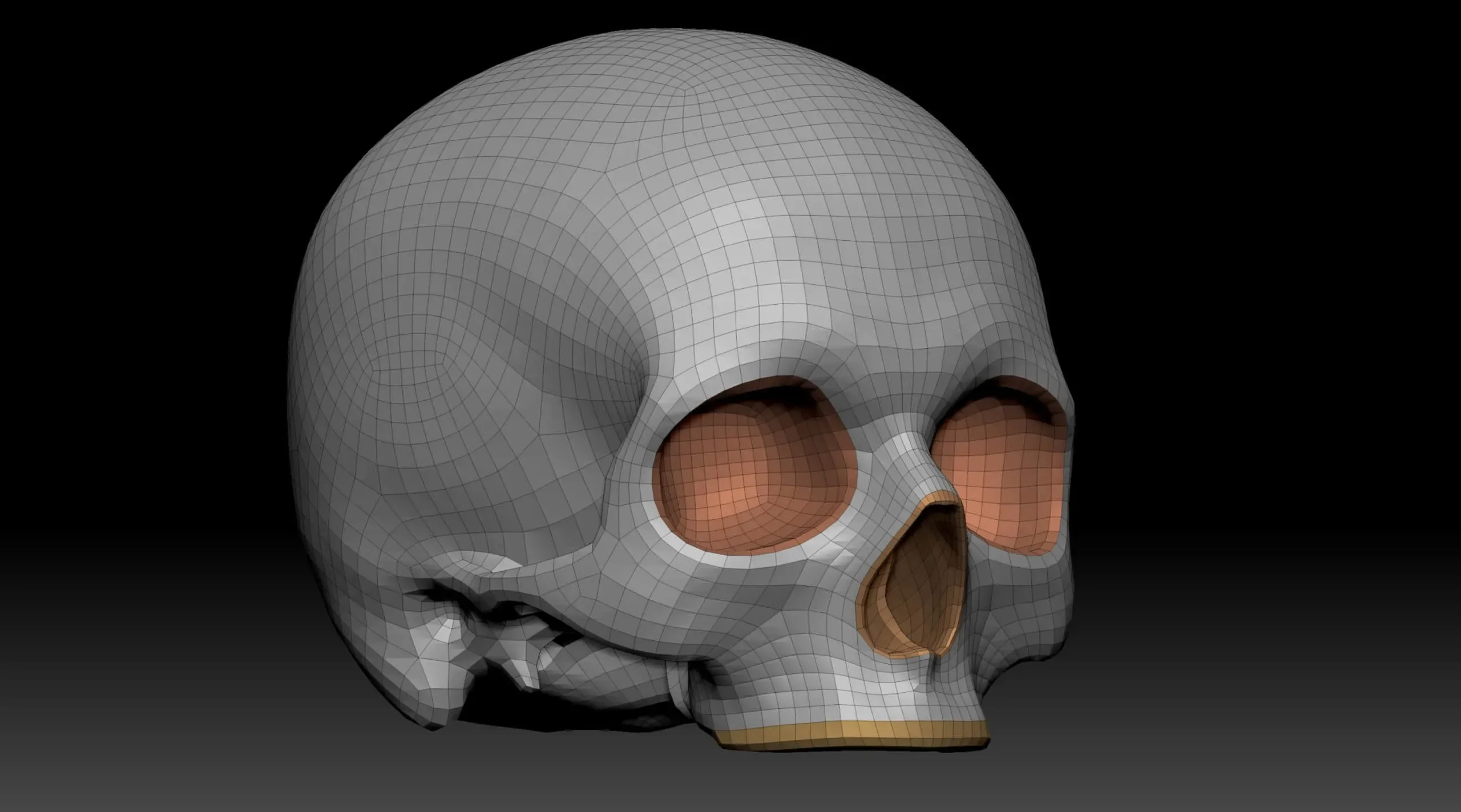 Body Parts Basemeshes Only for Zbrush