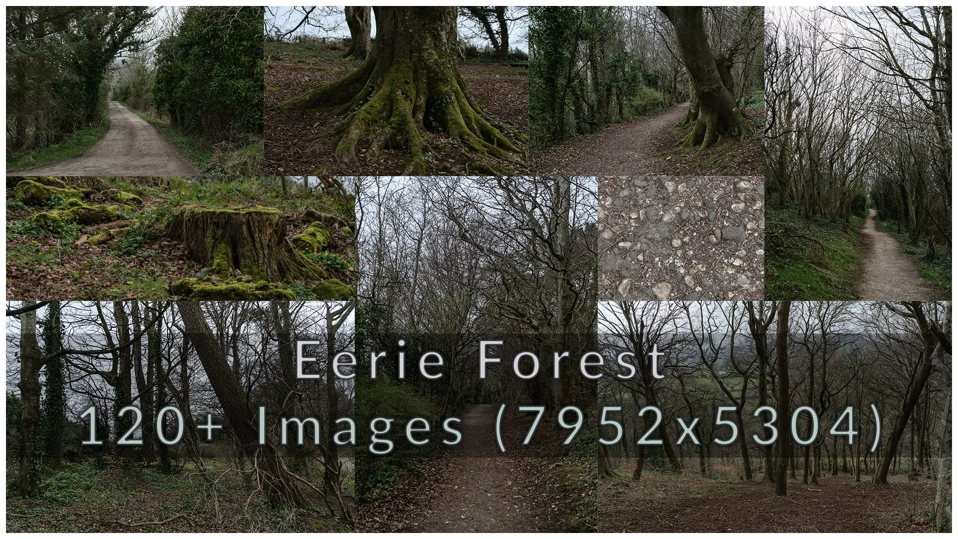 Eerie Forest Photopack 120+ Images