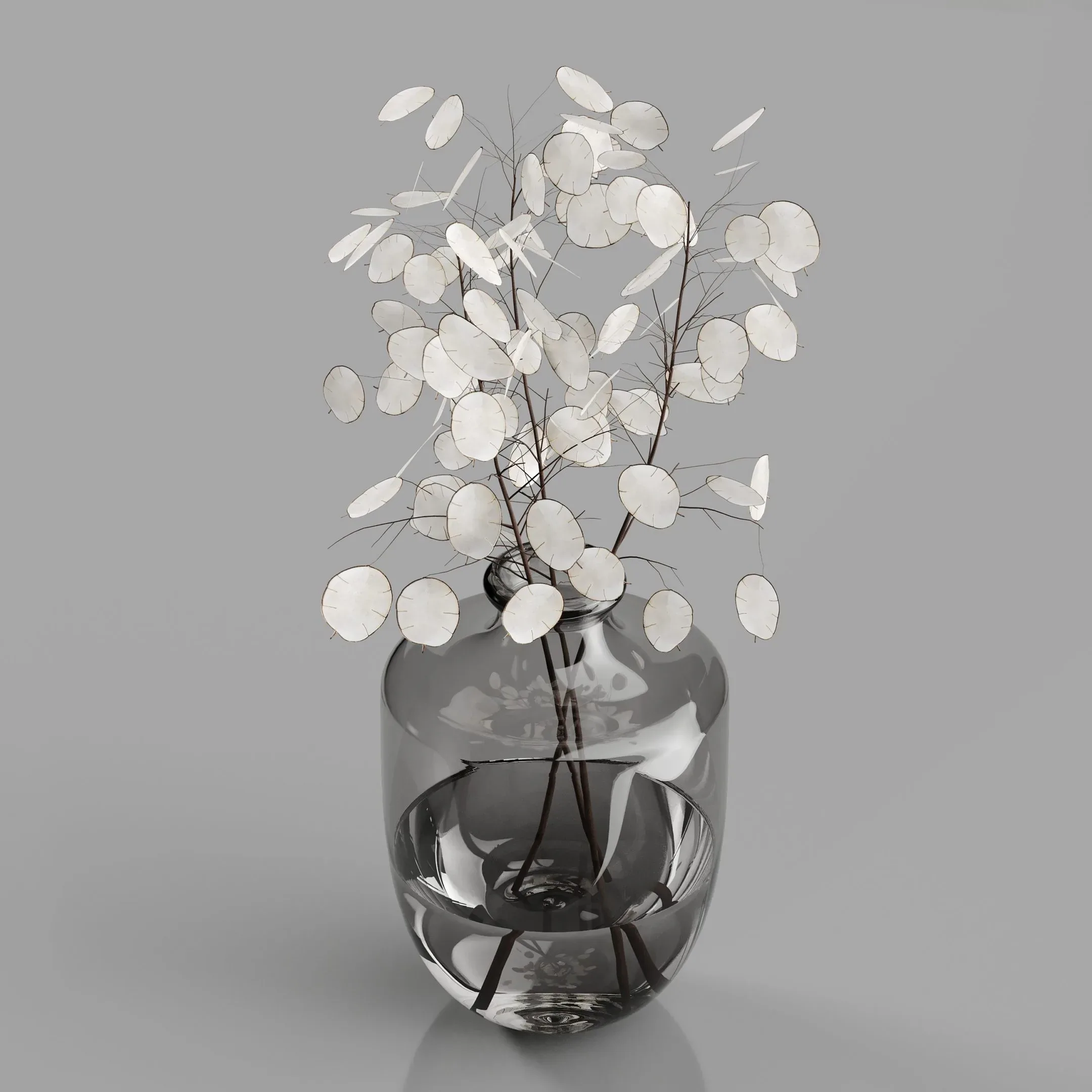 H24 Dark Gray Tinted Glass Vase with Lunaria