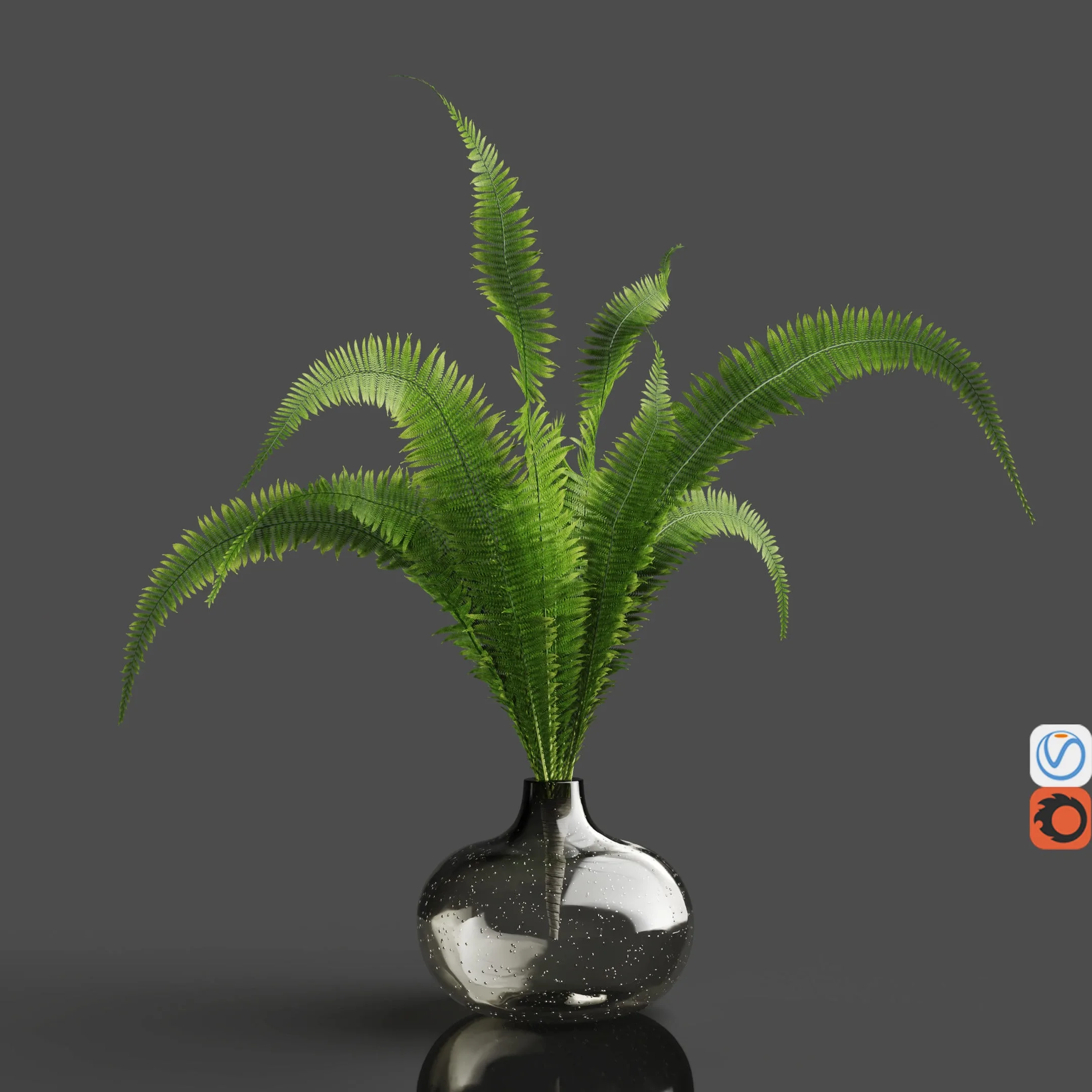 H18 Gray Tinted Bubble Glass Drop Vase with Fern