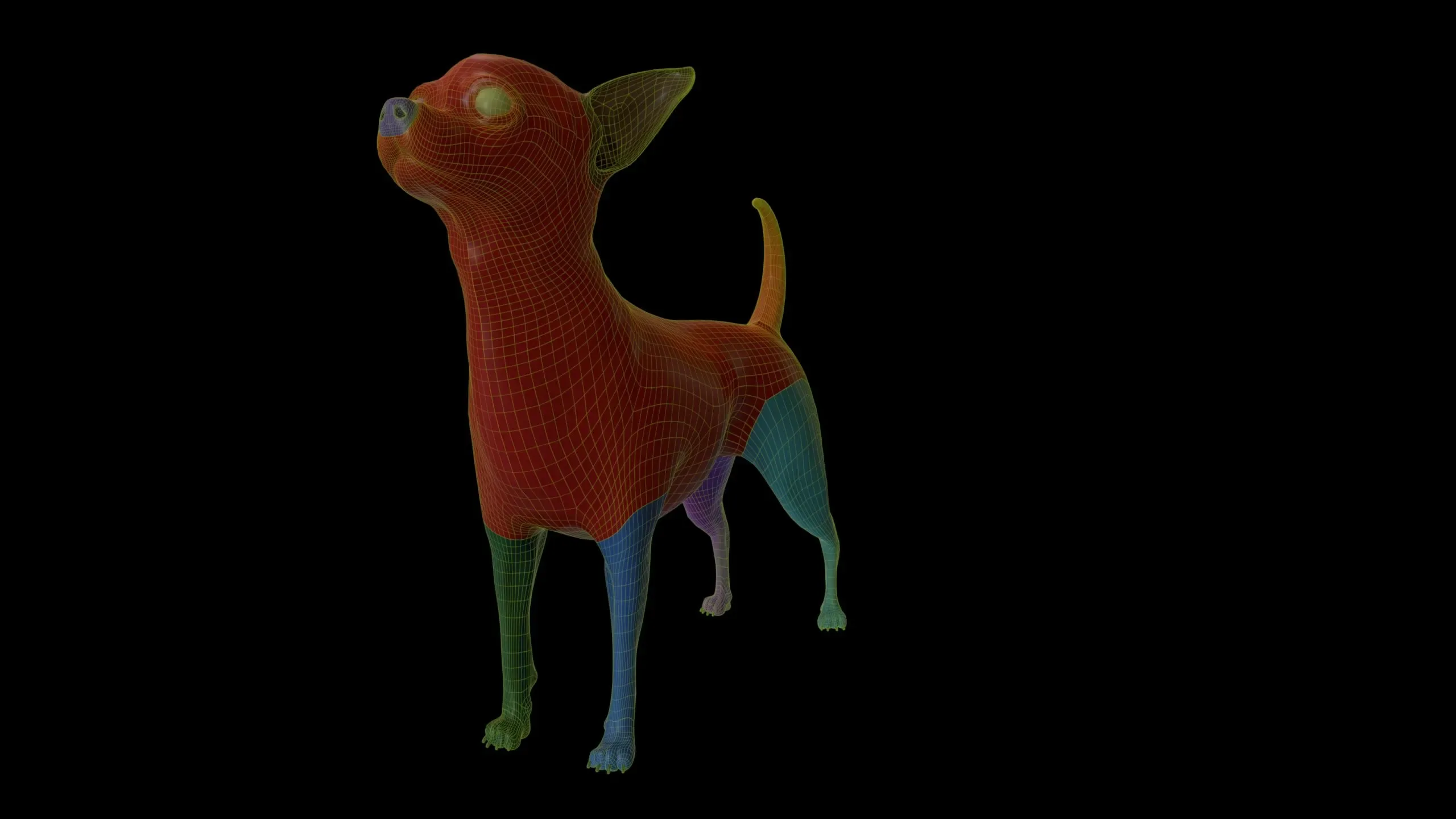 Chihuahua Base Mesh 3D model