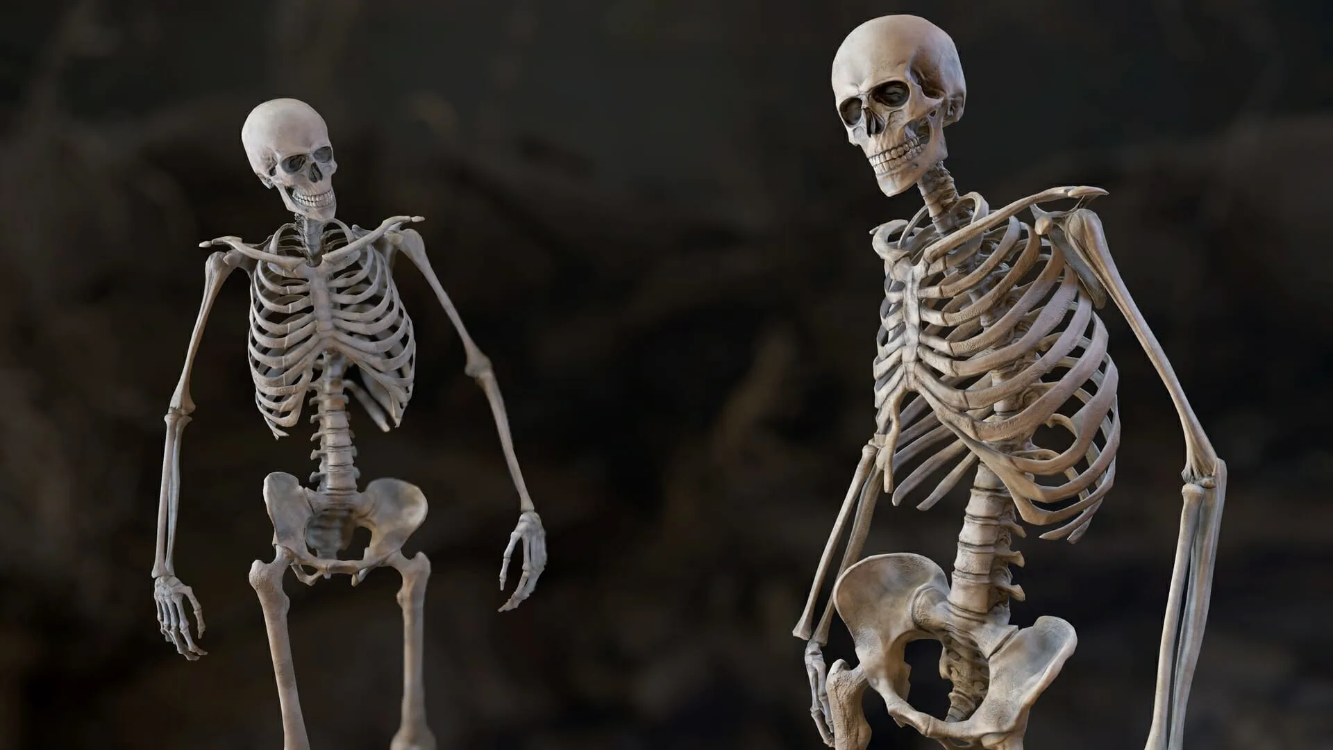 Skeleton 2.0 - Rigged