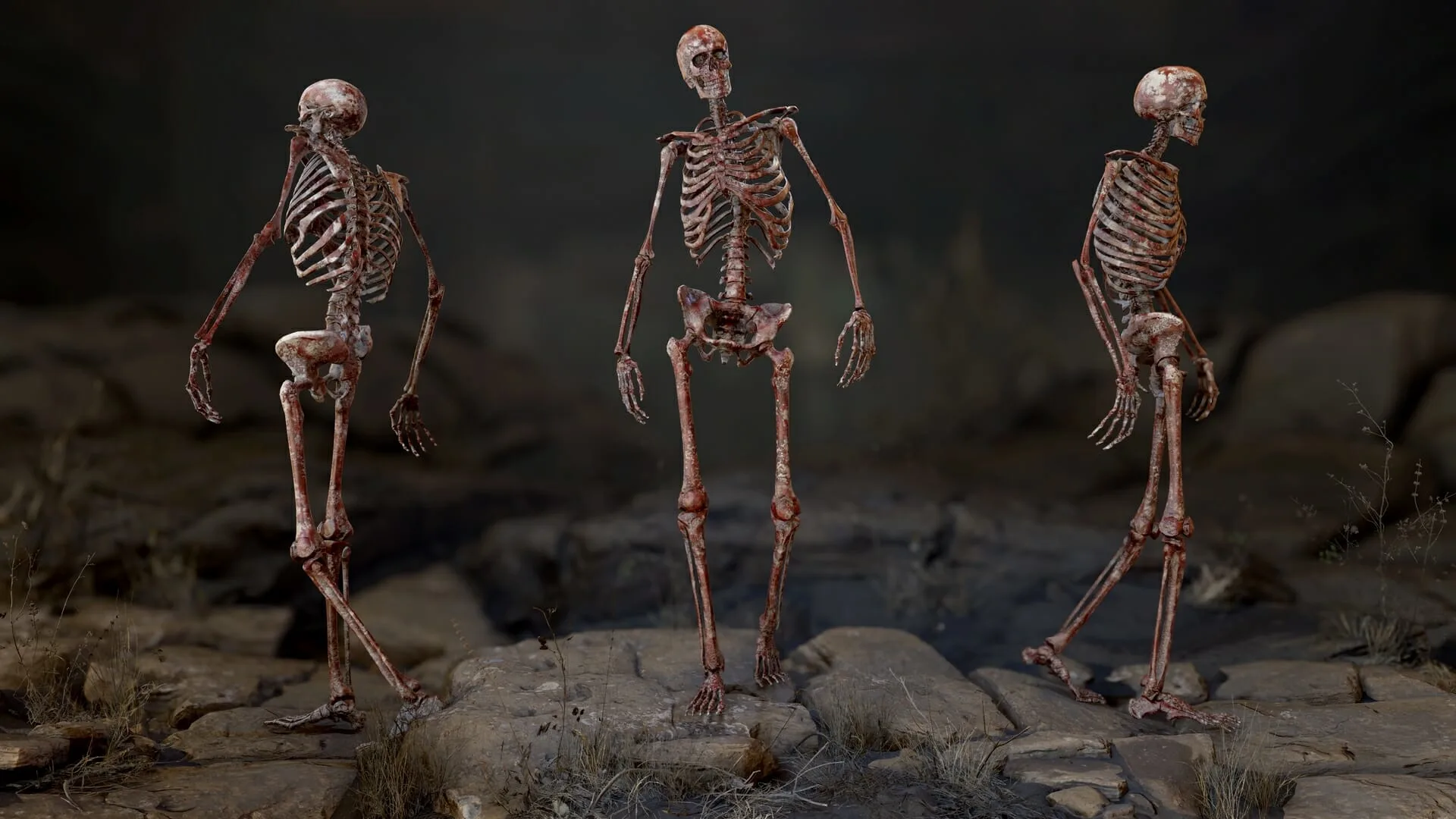 Skeleton 2.0 - Rigged