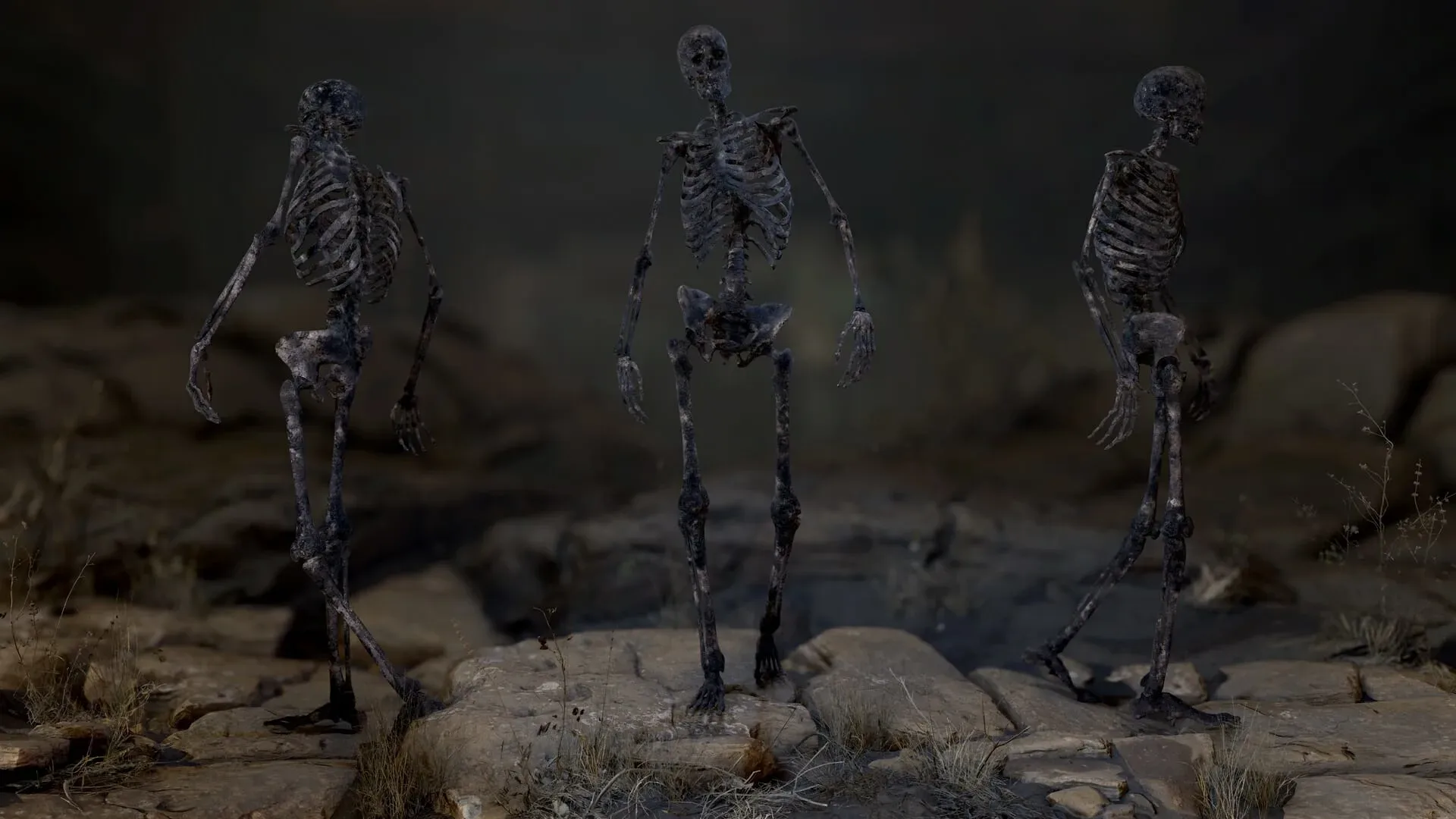 Skeleton 2.0 - Rigged