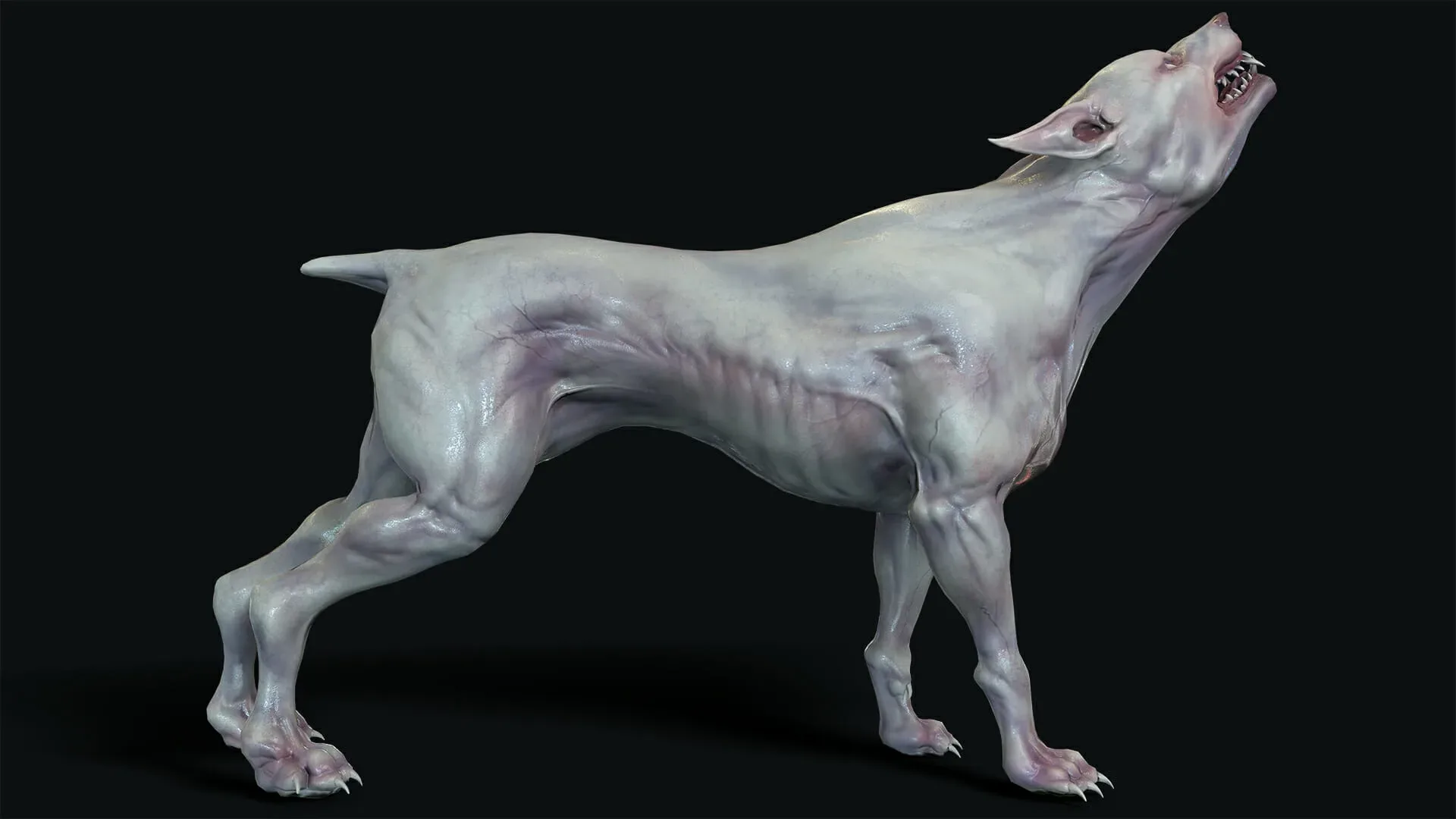 Mutant Dog - Rigged & Animated