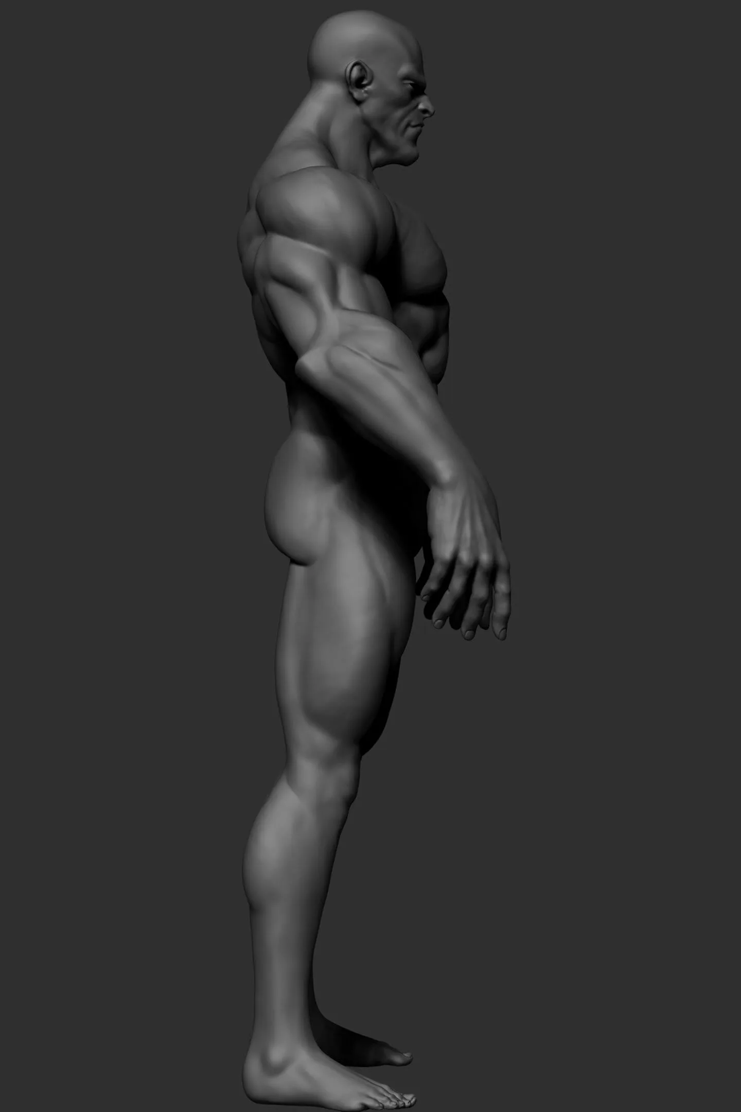 Stylized Anatomy - ZBrush Sculpture