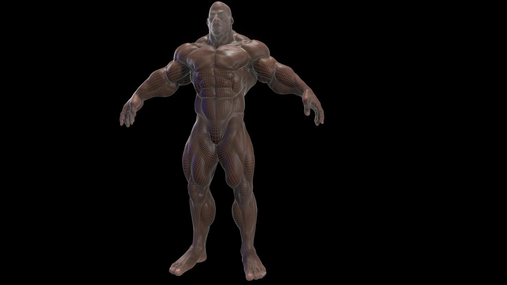 Bodybuilder (Game Ready) Basemesh