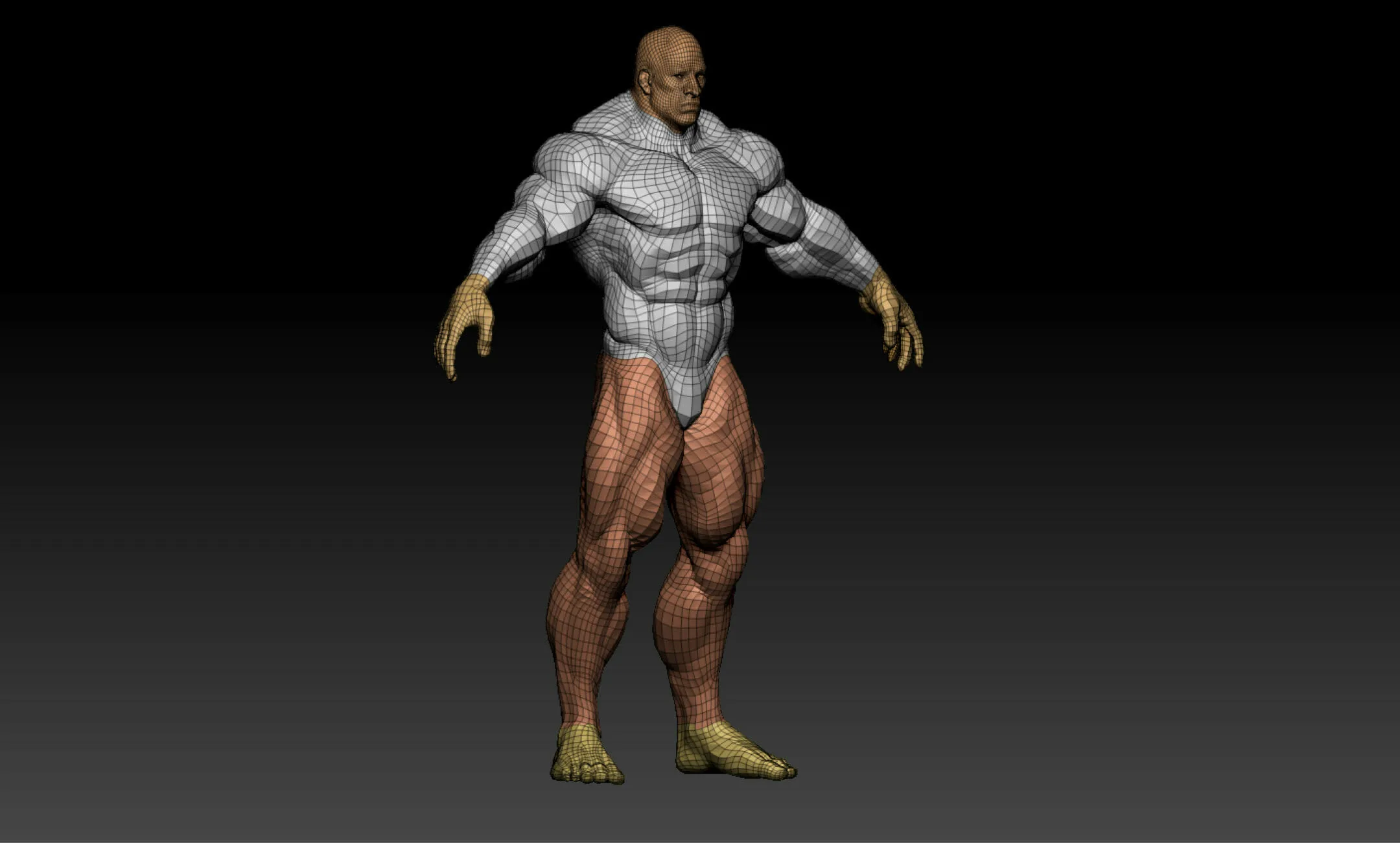 Bodybuilder (Game Ready) Basemesh
