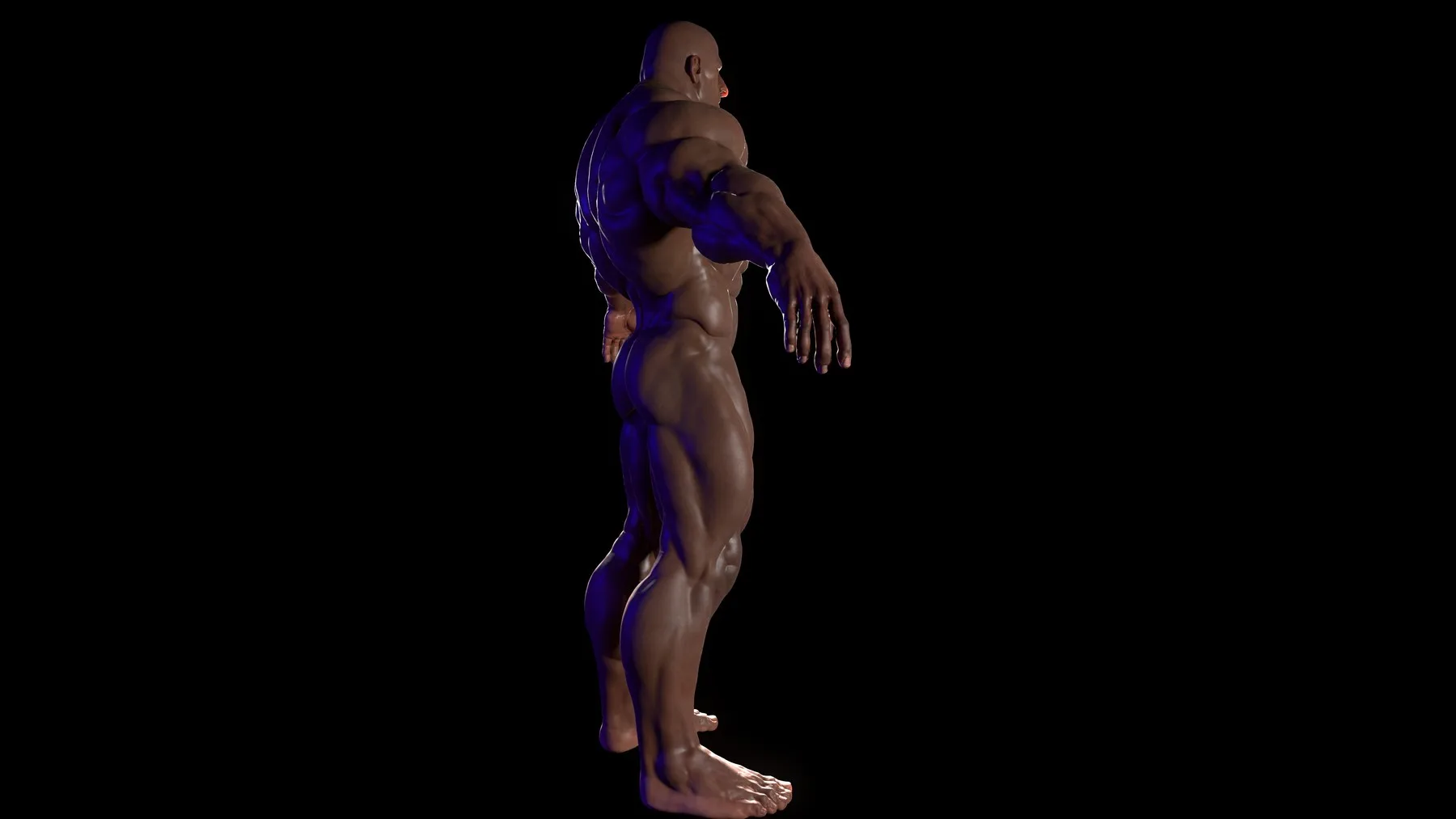 Bodybuilder (Game Ready) Basemesh