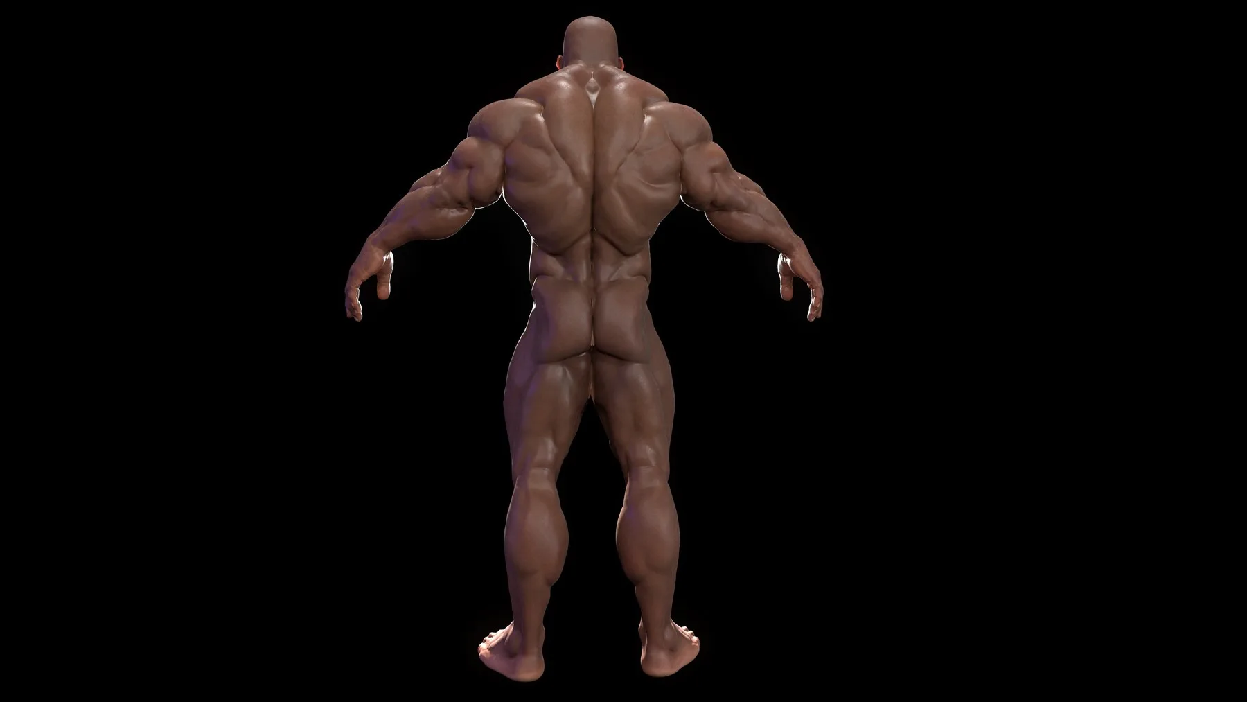 Bodybuilder (Game Ready) Basemesh