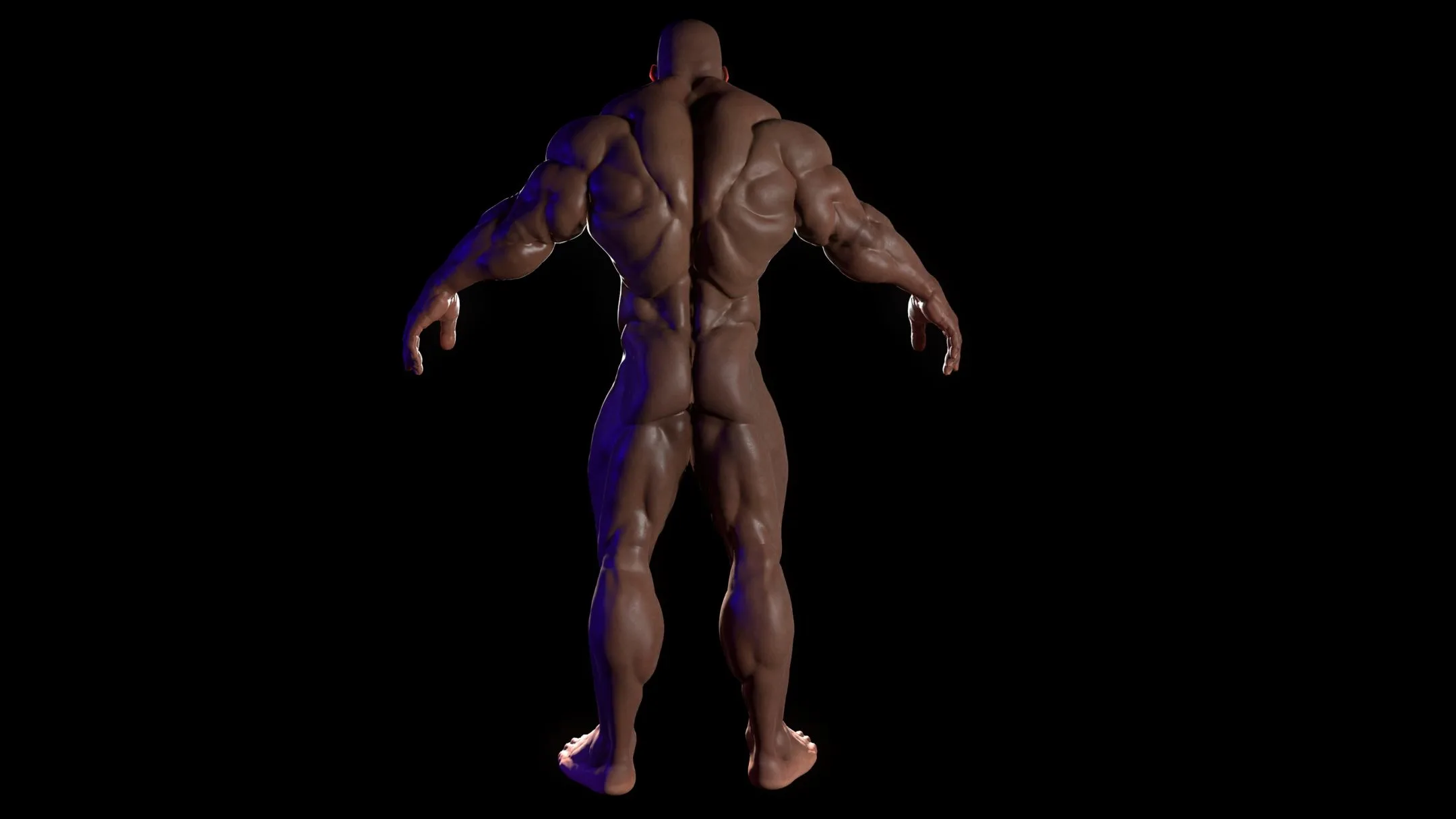 Bodybuilder (Game Ready) Basemesh