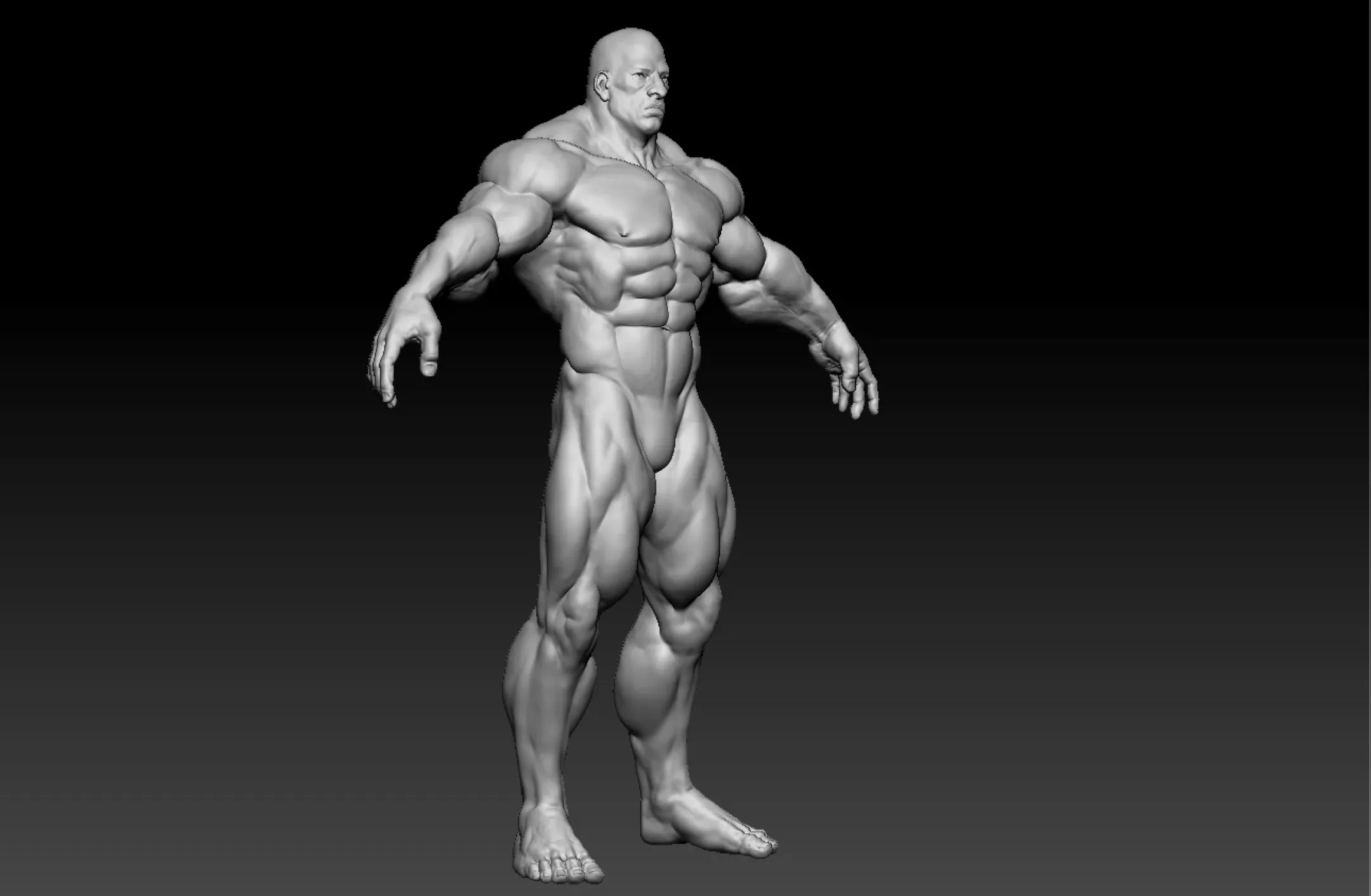 Bodybuilder (Game Ready) Basemesh