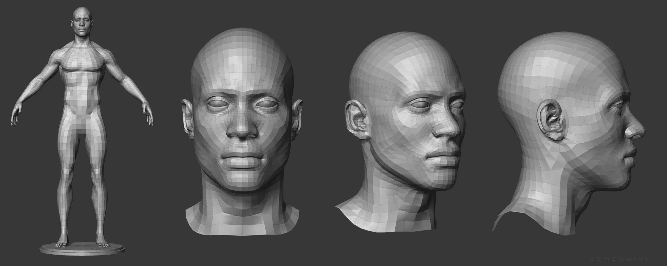 Male Anatomy Reference Model 2