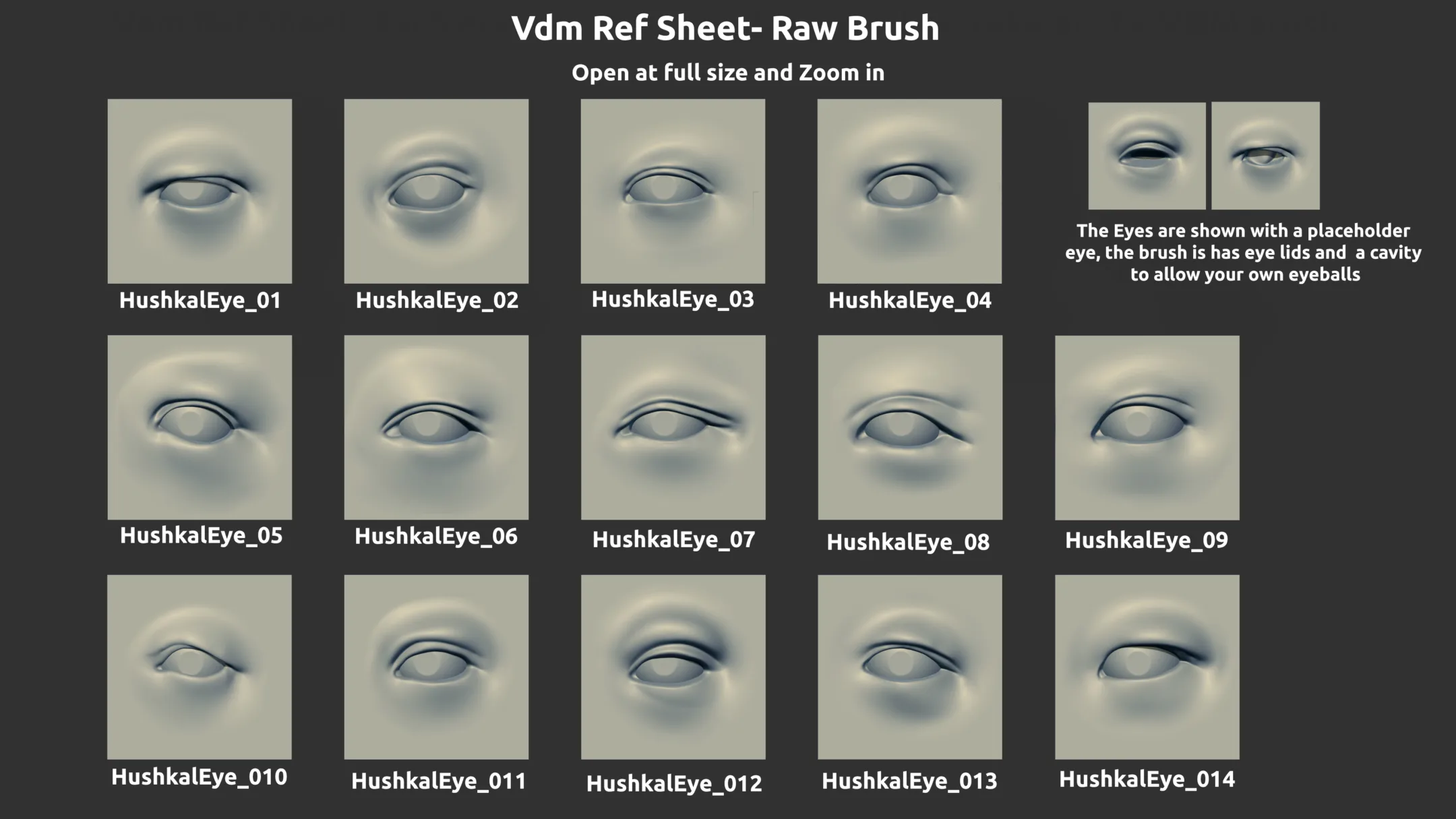 ZBrush - 14 Eye VDM Brushes