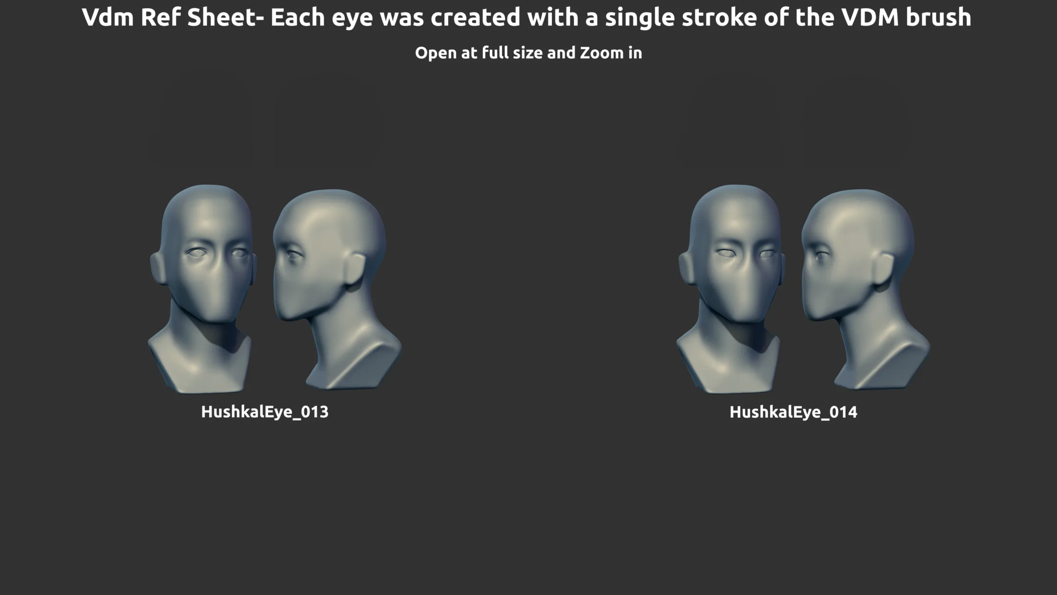 ZBrush - 14 Eye VDM Brushes