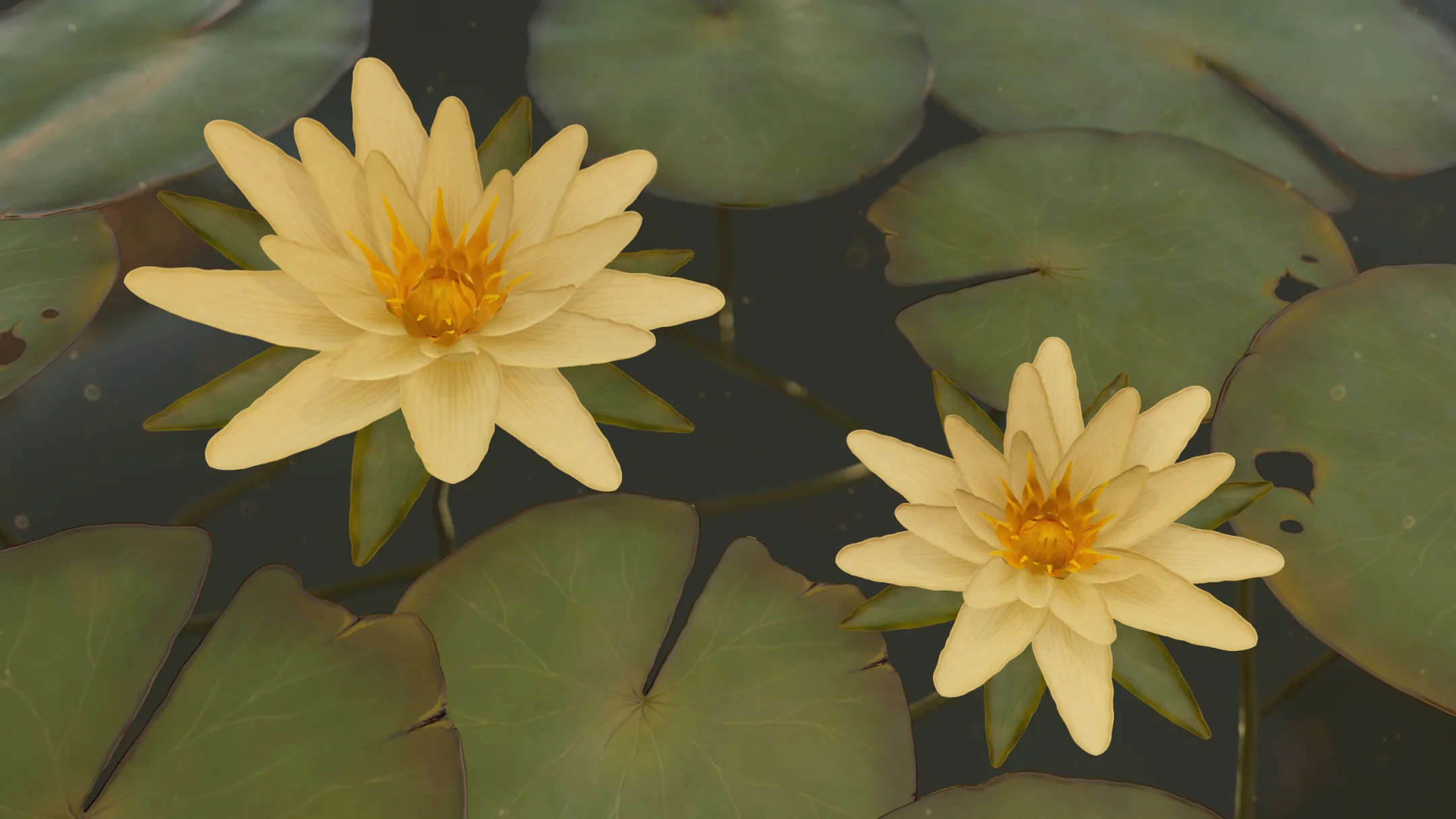 Water Lilies - PBR Game Ready