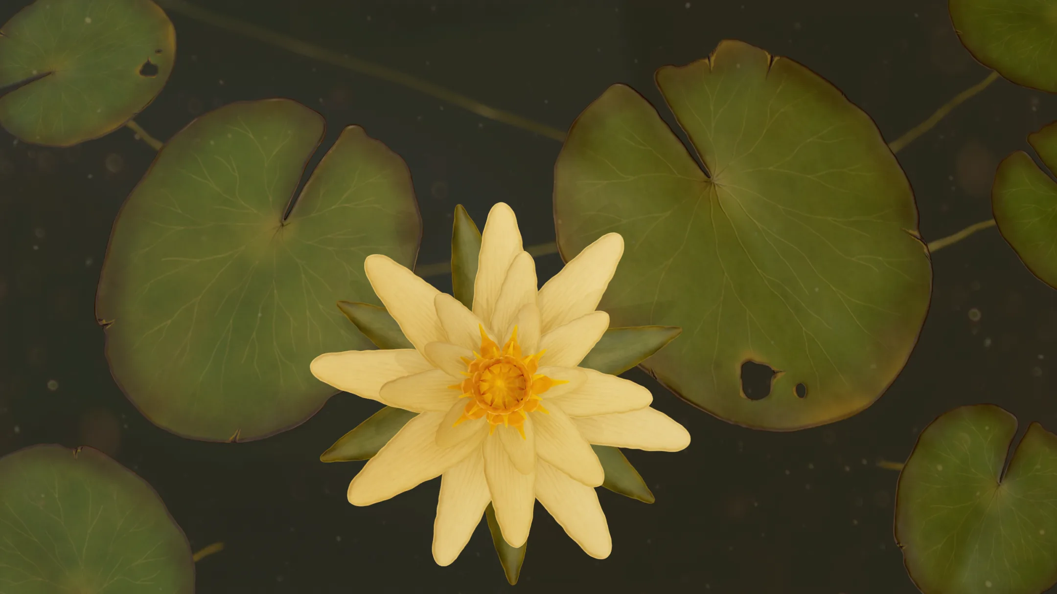 Water Lilies - PBR Game Ready